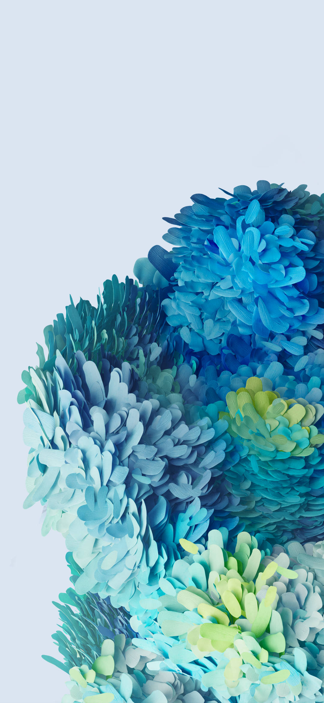 Samsung Galaxy S20 Asul na Bulaklak Wallpaper