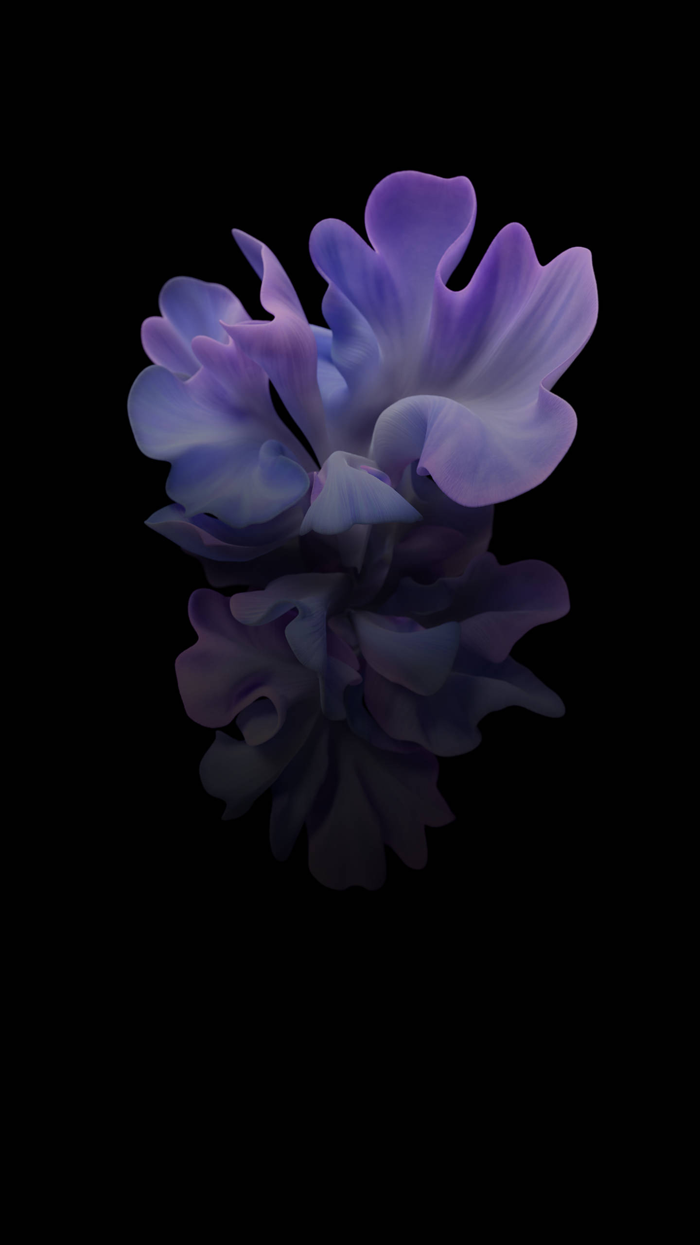 Samsung Galaxy Z Flip Lila Bulaklak Wallpaper