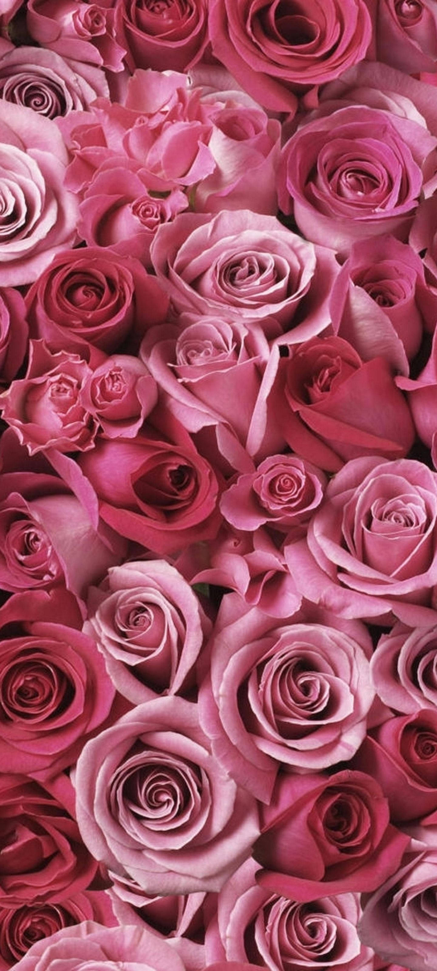 Samsung S21 Ultra na may Pink Roses Wallpaper