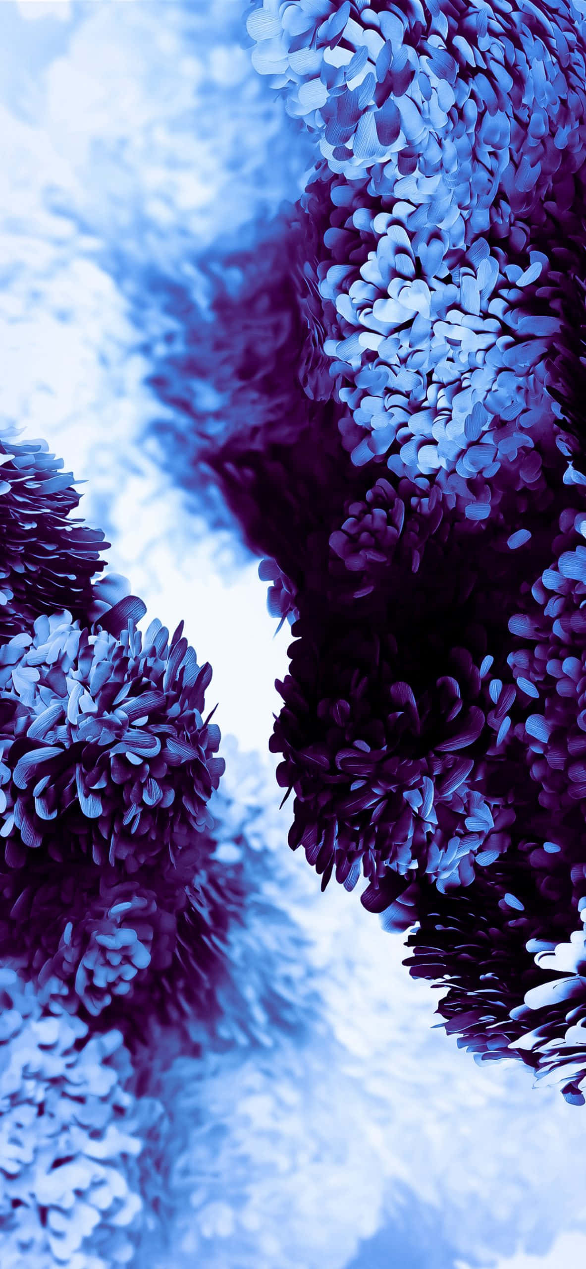 Samsung’s Elegant New Design Wallpaper