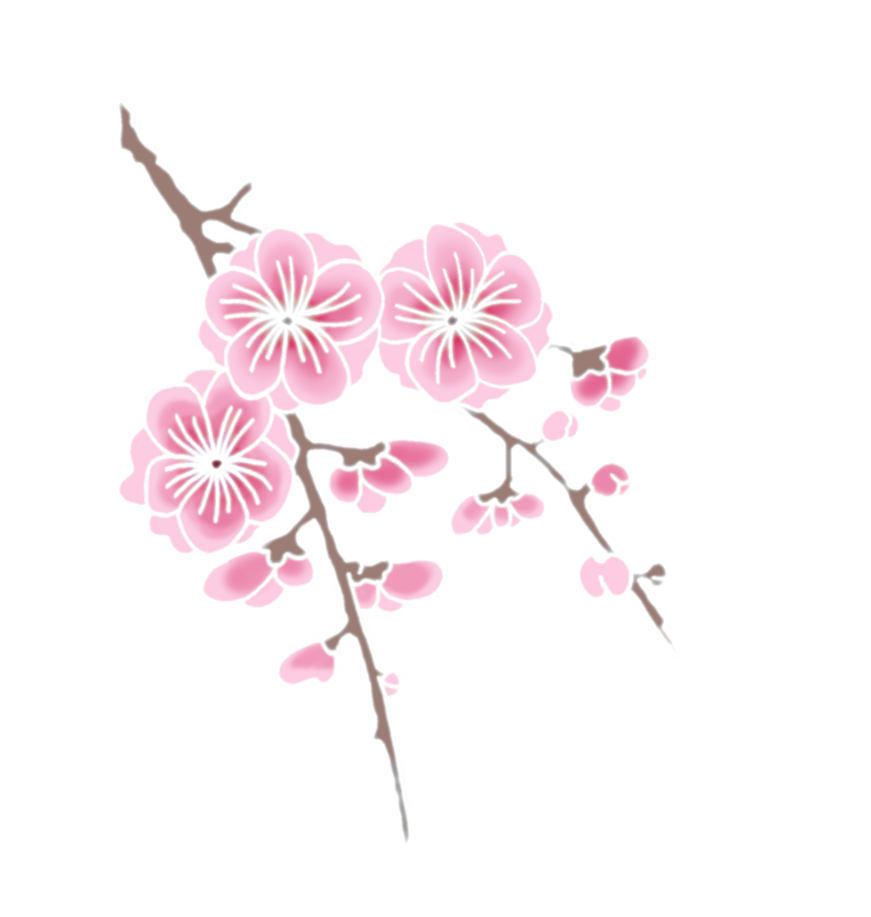 Sanga ng Cherry Blossom Wallpaper