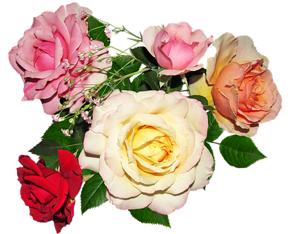 Sari-saring Kulay ng Rosas na Bouquet Wallpaper