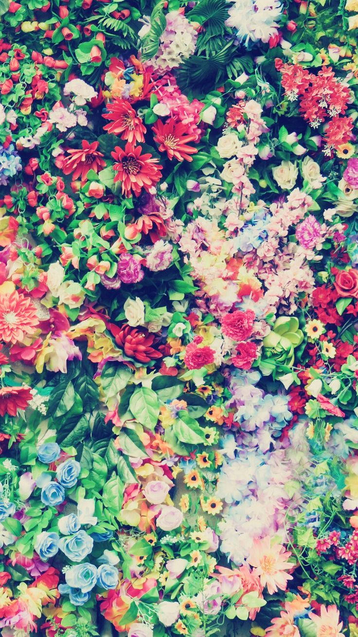Sari-saring Makukulay na Bulaklak Floral iPhone Wallpaper