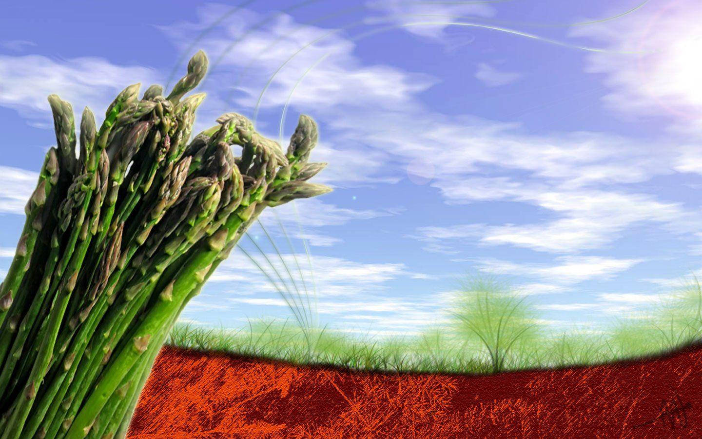 Sariwa at masustansiyang gulay na asparagus Wallpaper