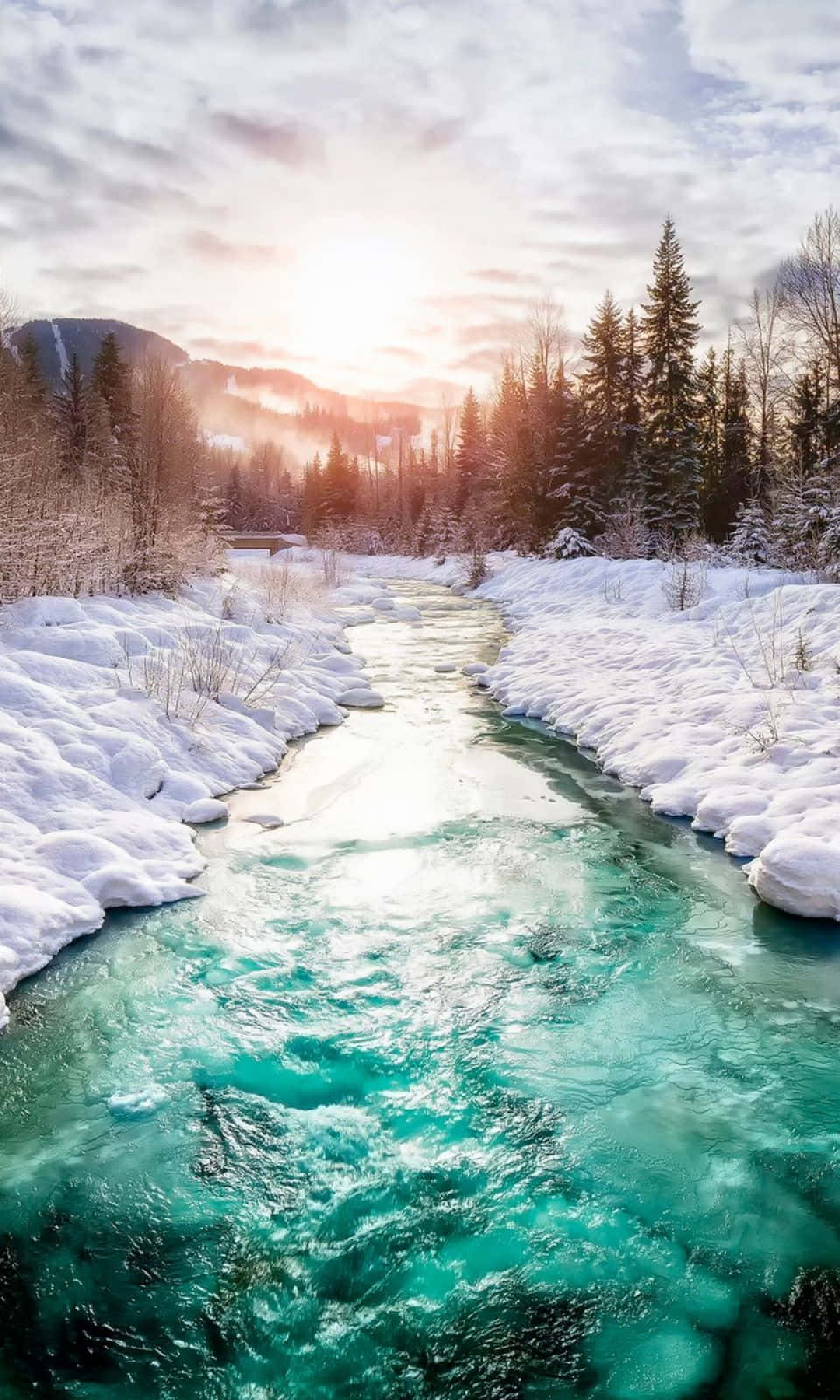 Say hello to the cutest winter phone! Wallpaper