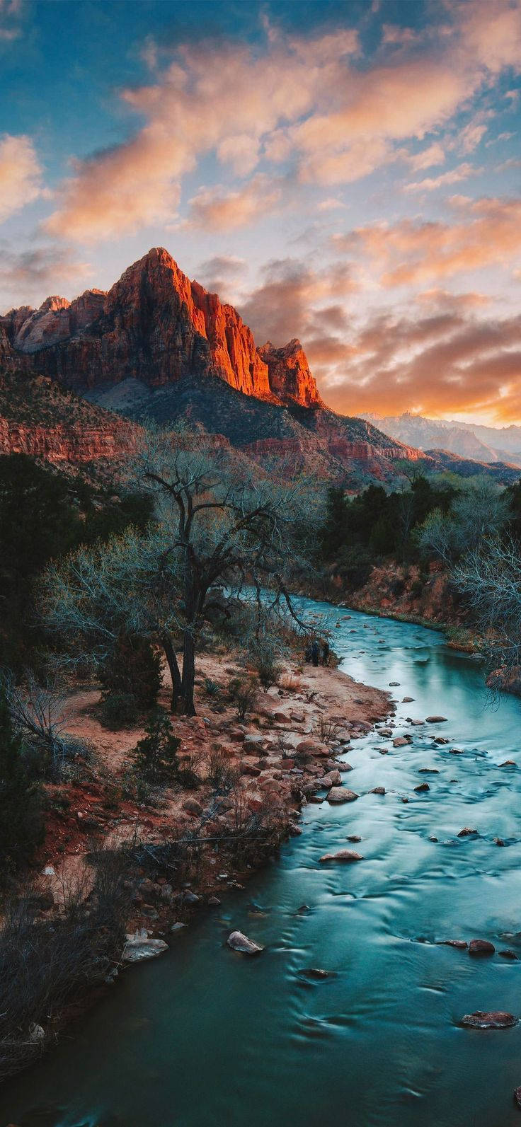 Seksyon ng Zion Narrows sa Zion National Park Wallpaper