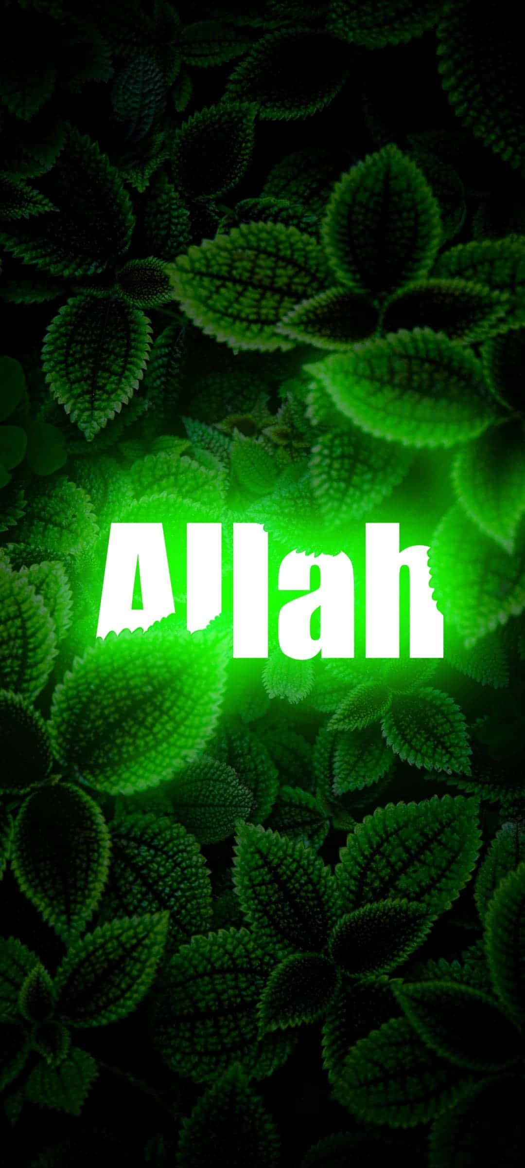 Si Allah ang Supremong Manlalalang at Pinagkukunan ng lahat ng buhay Wallpaper