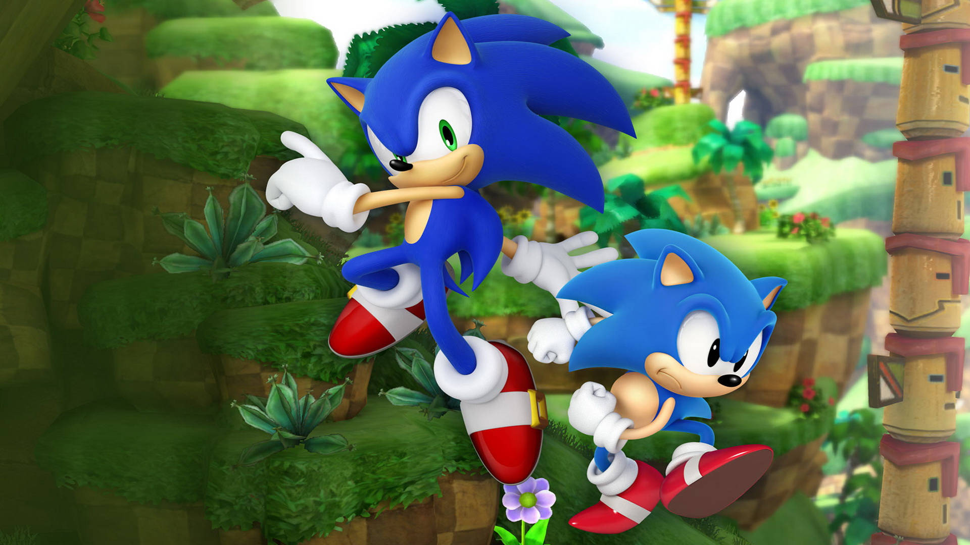 si sonic the hedgehog at si sonic the hedgehog na tumatakbo sa damuhan Wallpaper