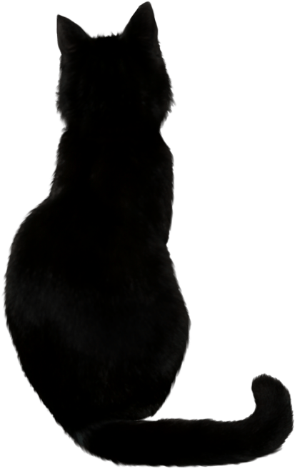 Silweta ng Itim na Pusa Wallpaper