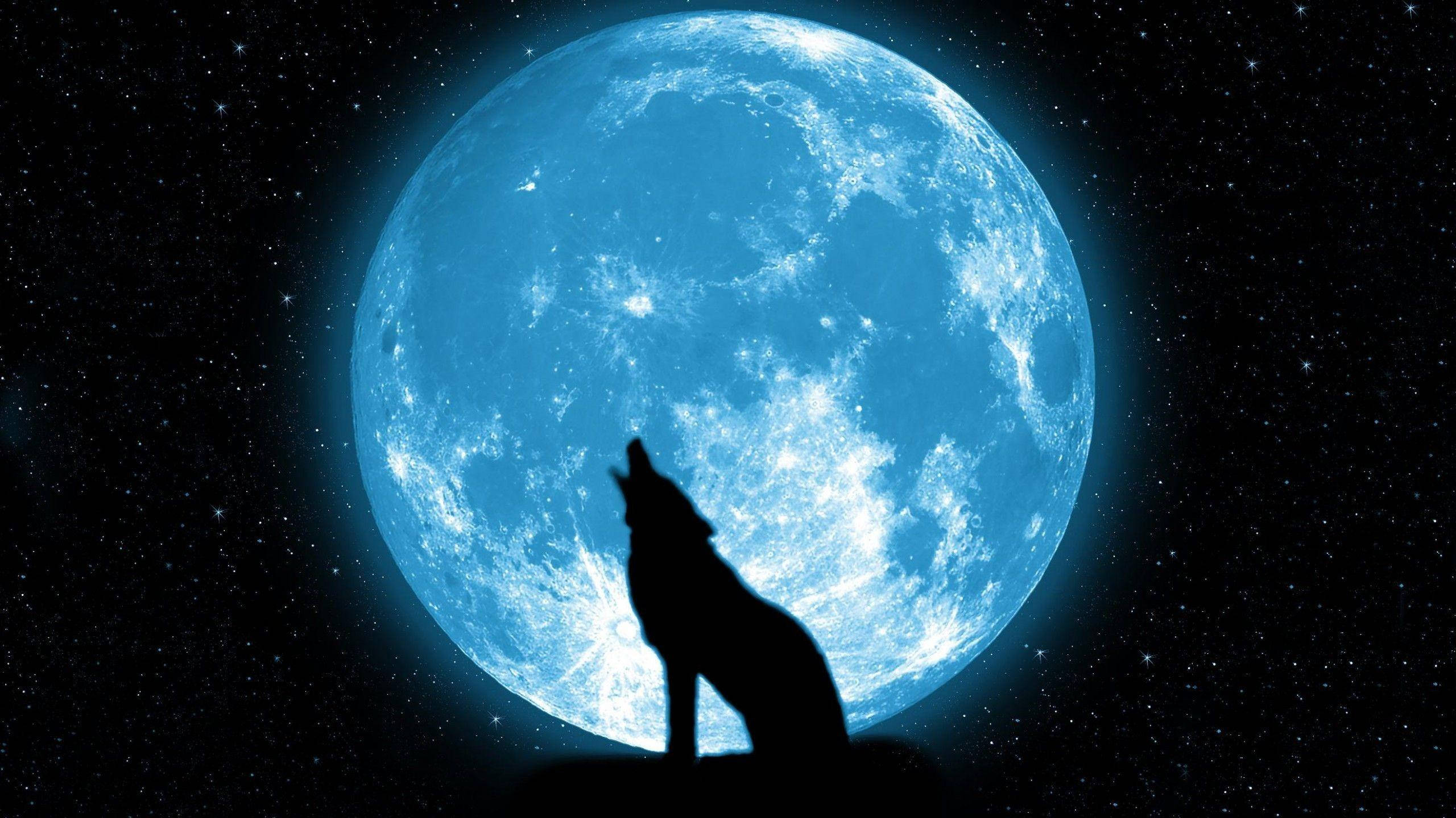 Silweta ng Lobo na Umaangal sa Galaxy Wallpaper