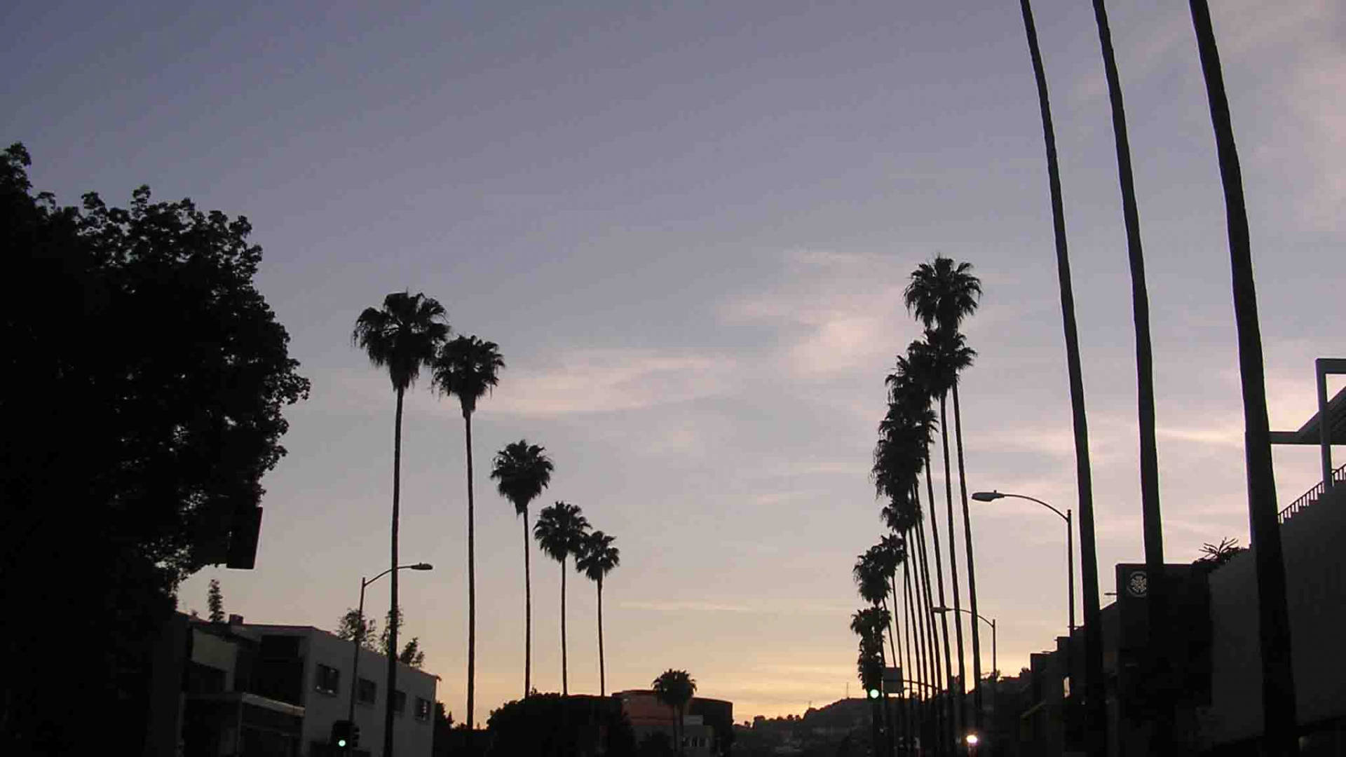 Silweta ng Sunset Boulevard Wallpaper