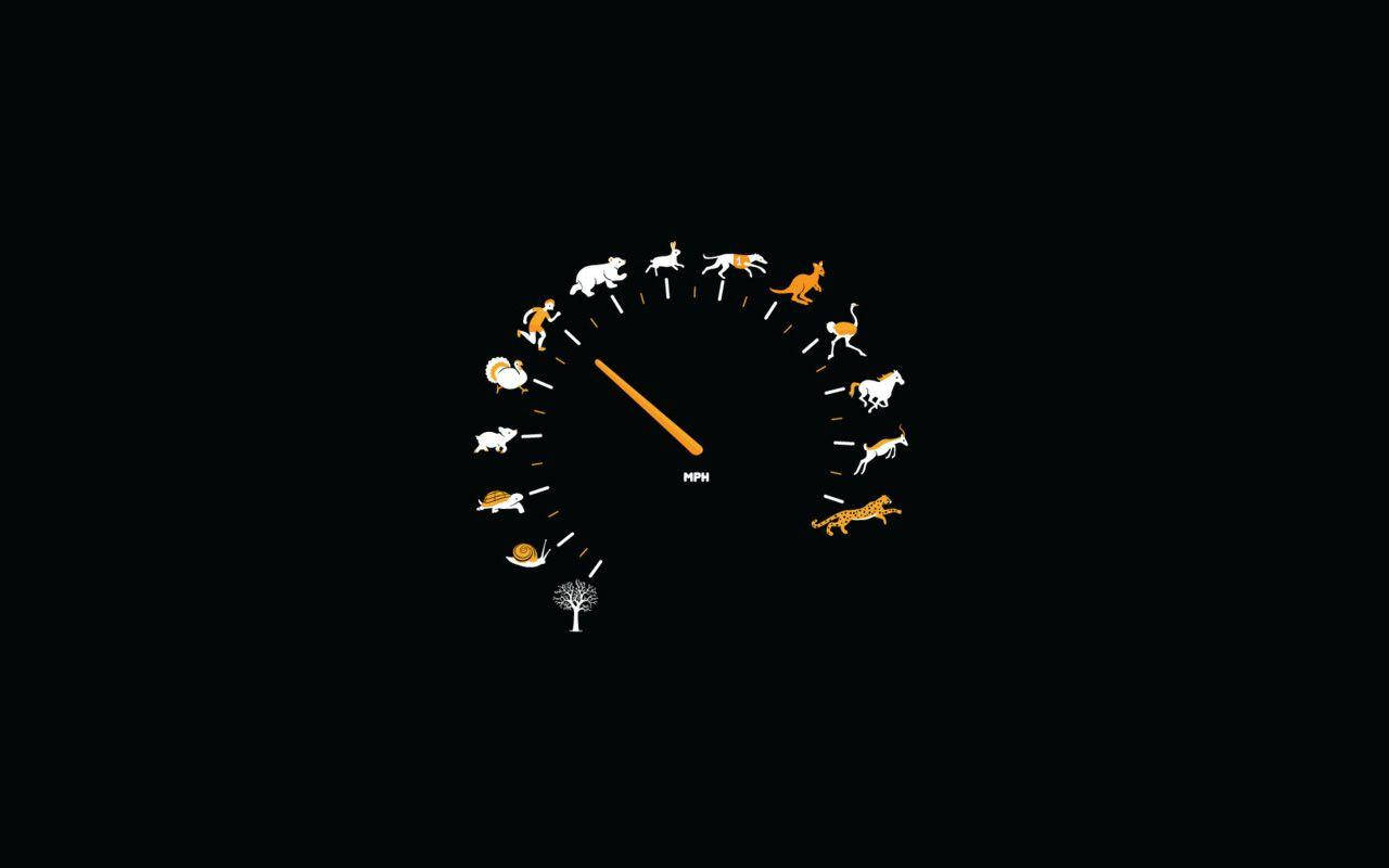 Simple Black Speedometer na May Mga Hayop Wallpaper