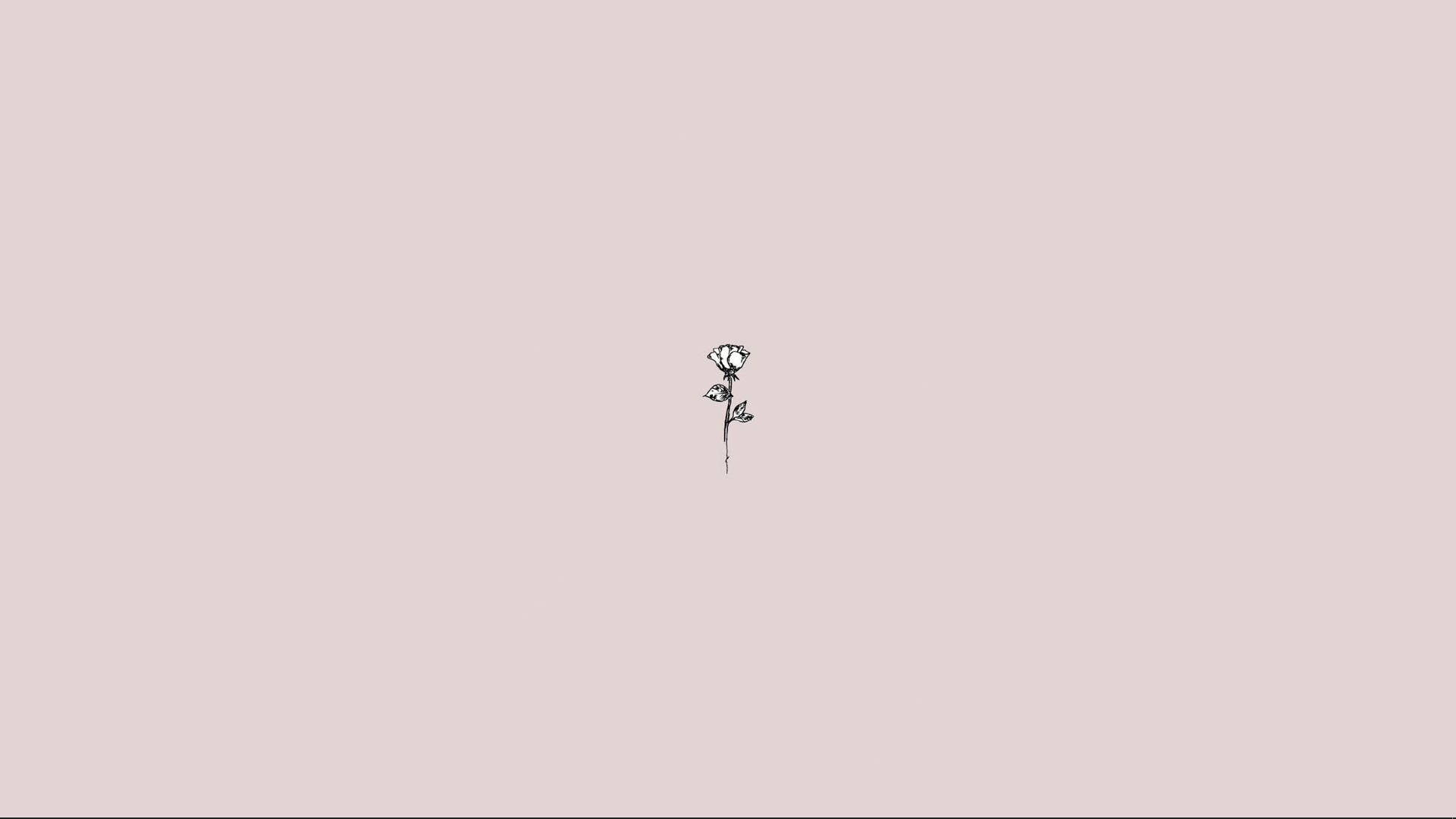 Simpleng Aesthetic na Rosas Wallpaper