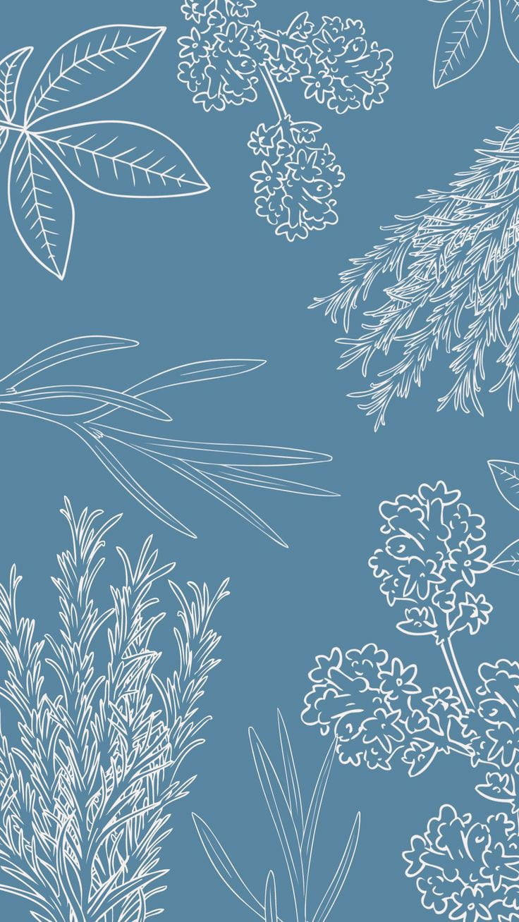 Simpleng Asul na Estetikong Sining ng Halaman Wallpaper