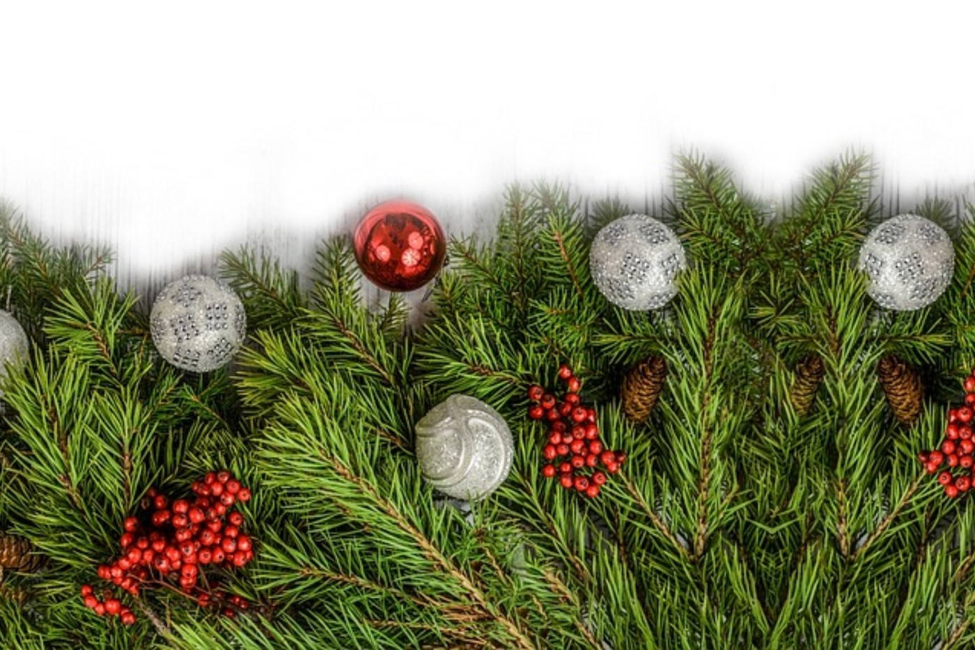 Simpleng Christmas Balls sa Pine Wallpaper