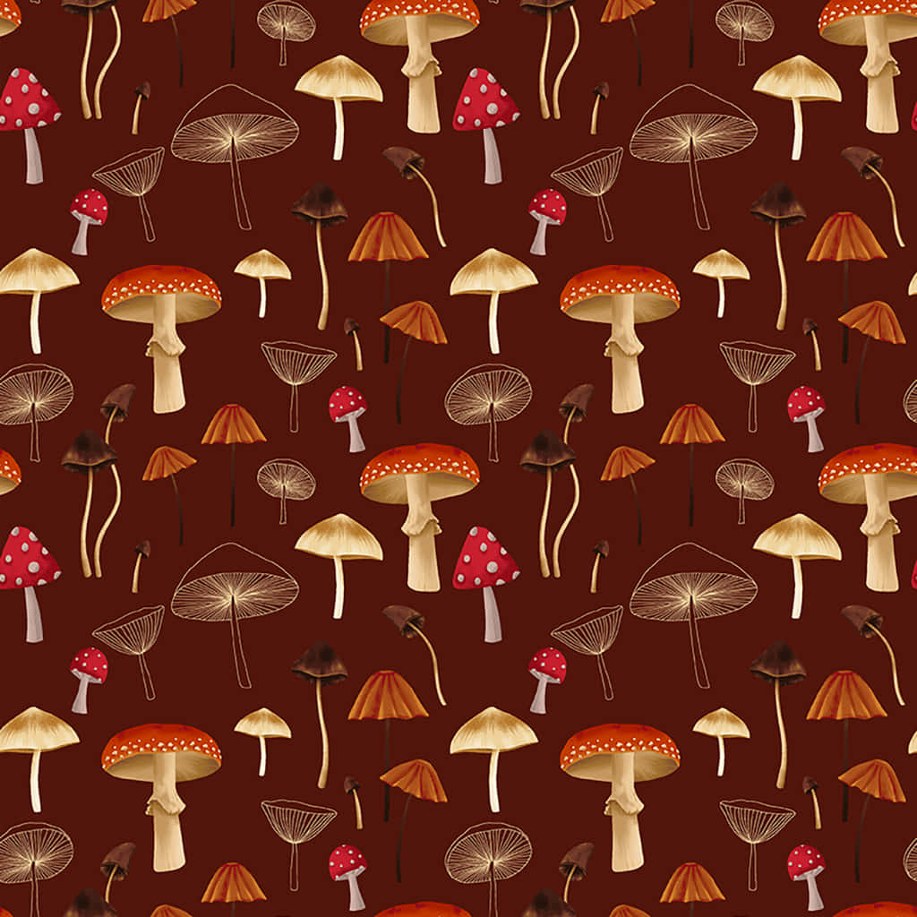 Sinaunang Cute na Kabute na Flora Wallpaper