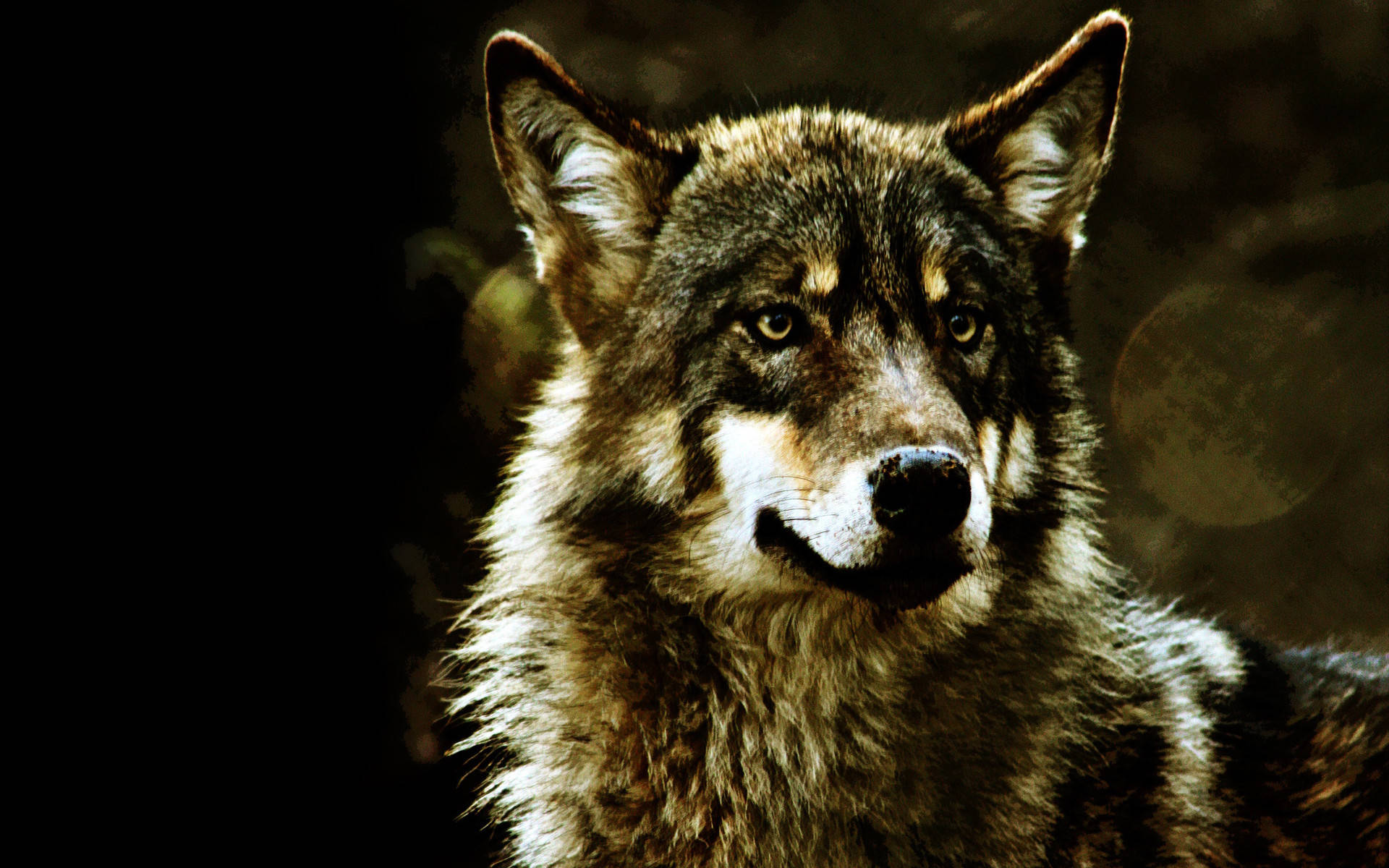 Sining ng Astig na Lobo Wallpaper