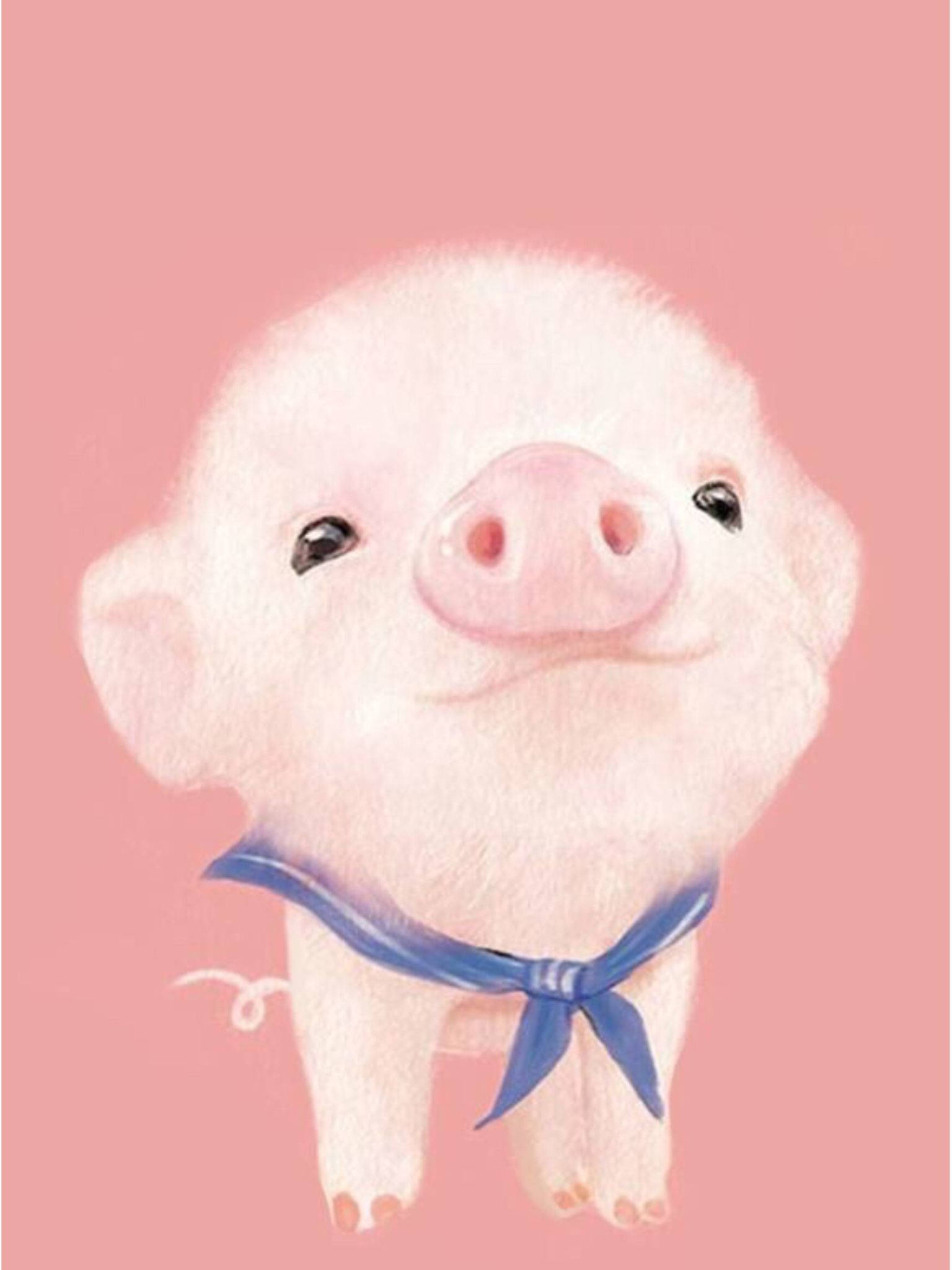 Sining ng Baby Pig Kawaii iPad Wallpaper