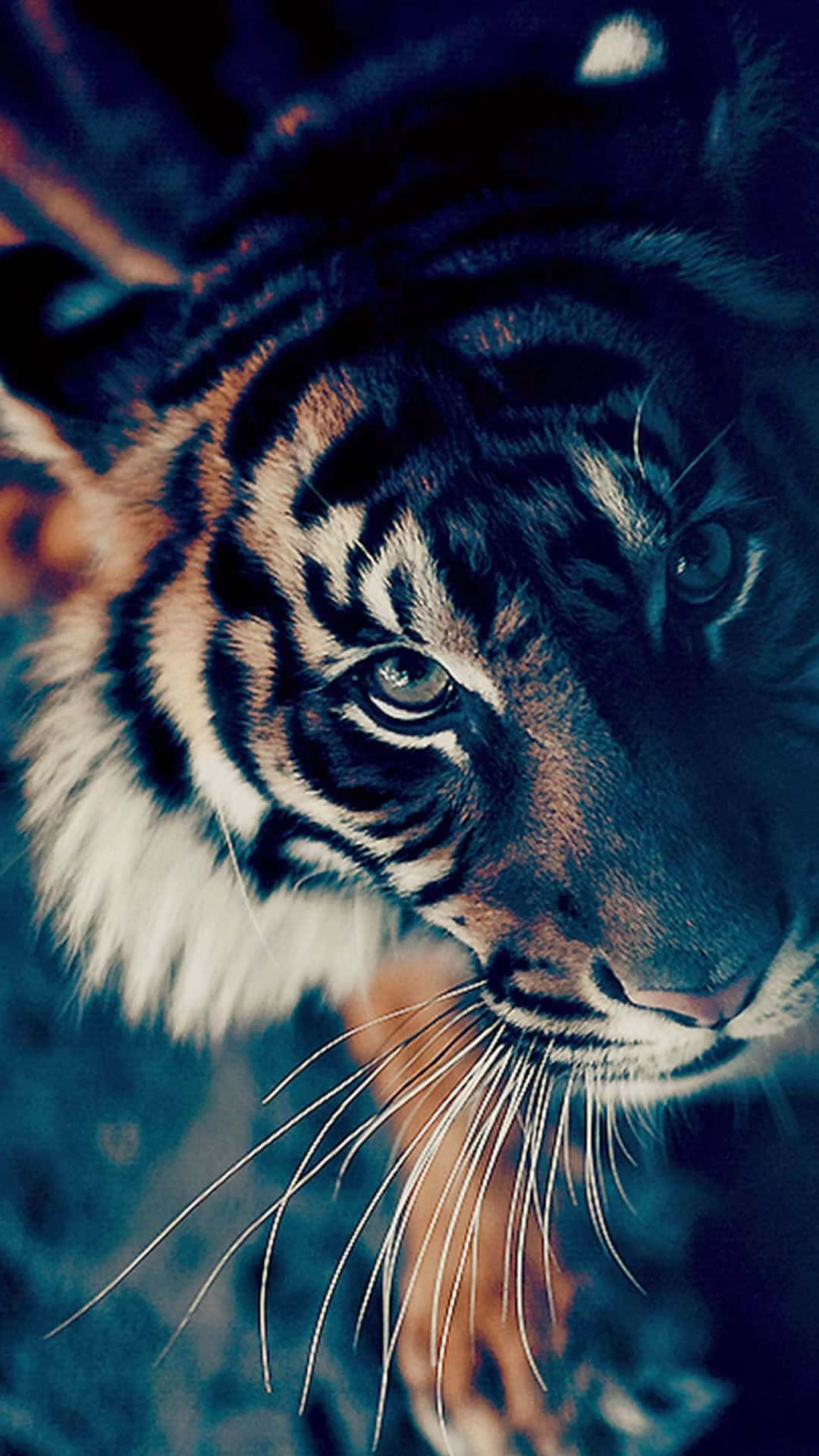 Sining ng Cute na Tigre na Kahanga-hanga Wallpaper