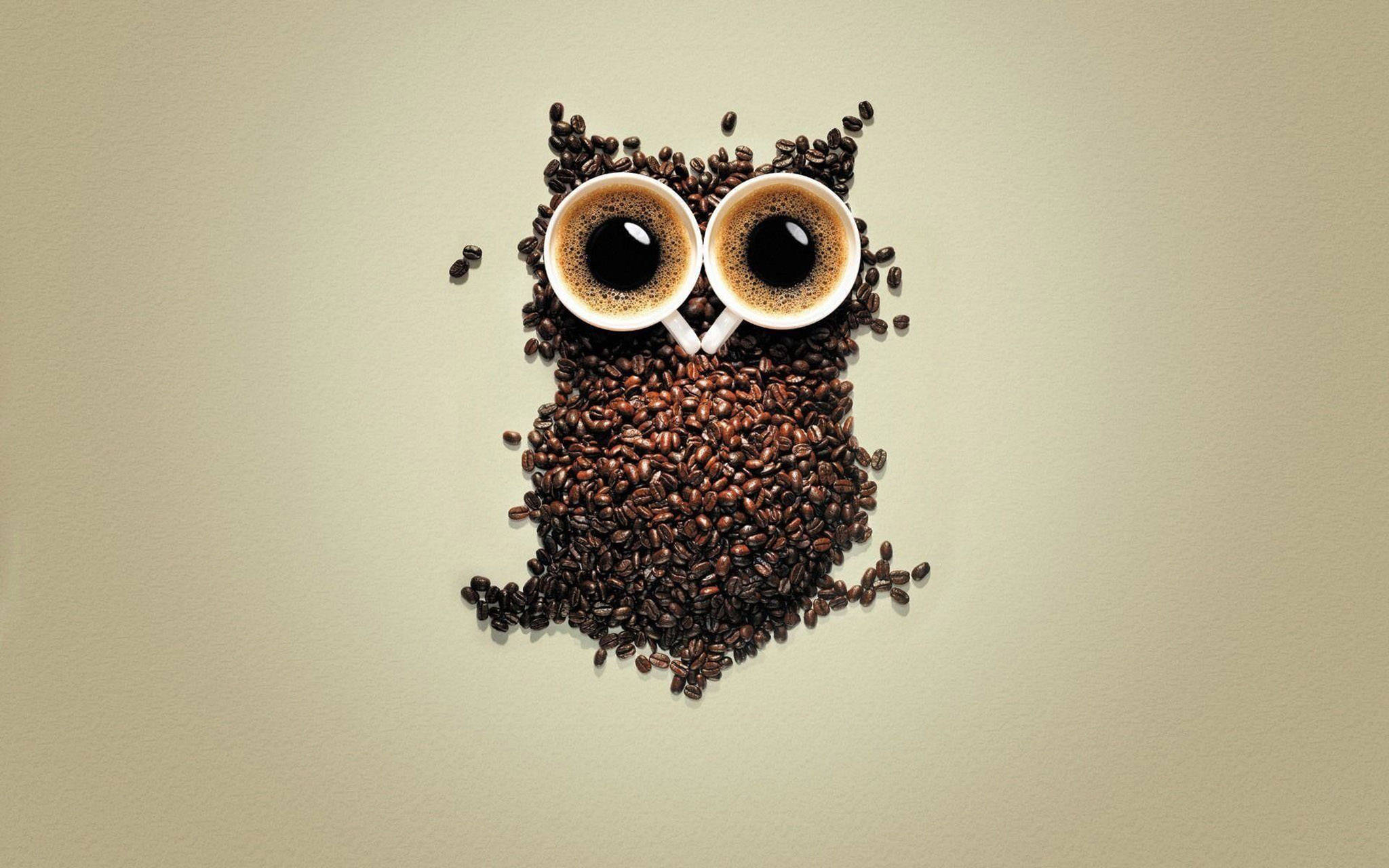 Sining ng Kape na May Cute na Kuwago Wallpaper
