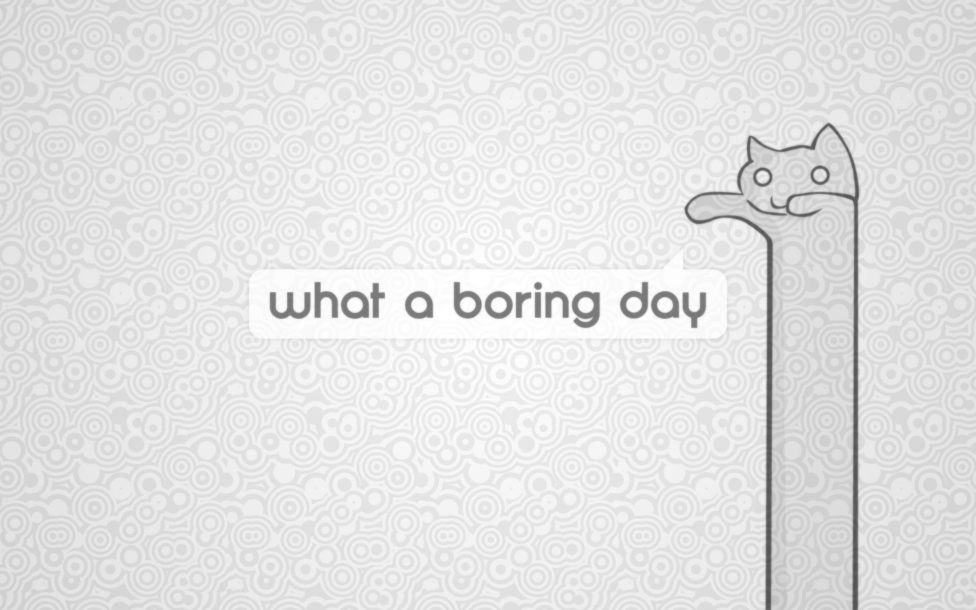 Sining ng Pusa na May Boring na Araw Wallpaper