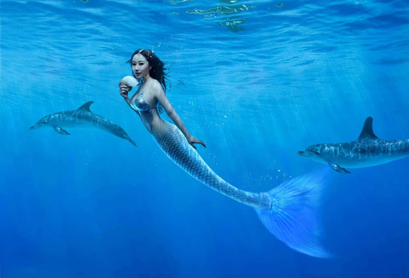 Sirena na May Dalawang Dolpin Wallpaper