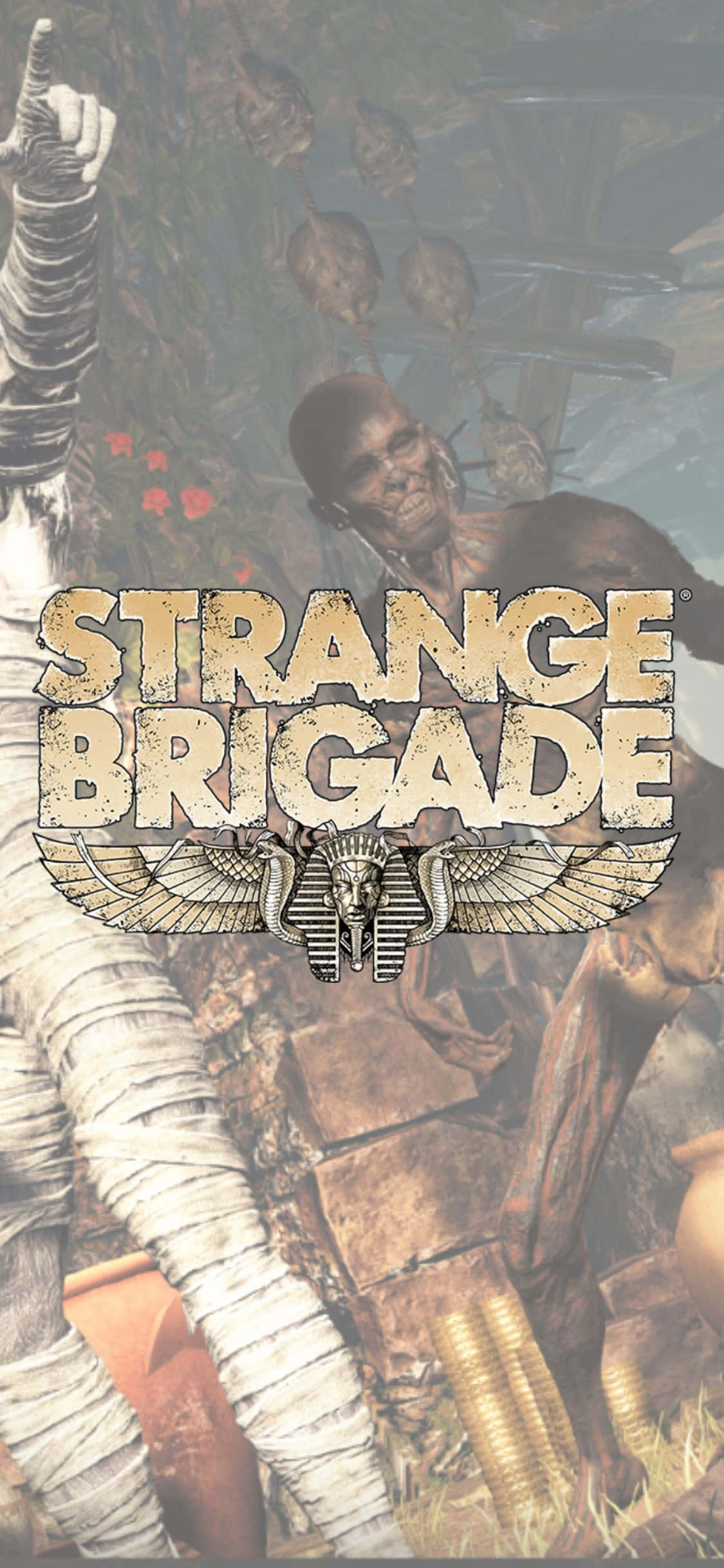 Skeleton At Wrapped Zombies iPhone X Strange Brigade Background Wallpaper