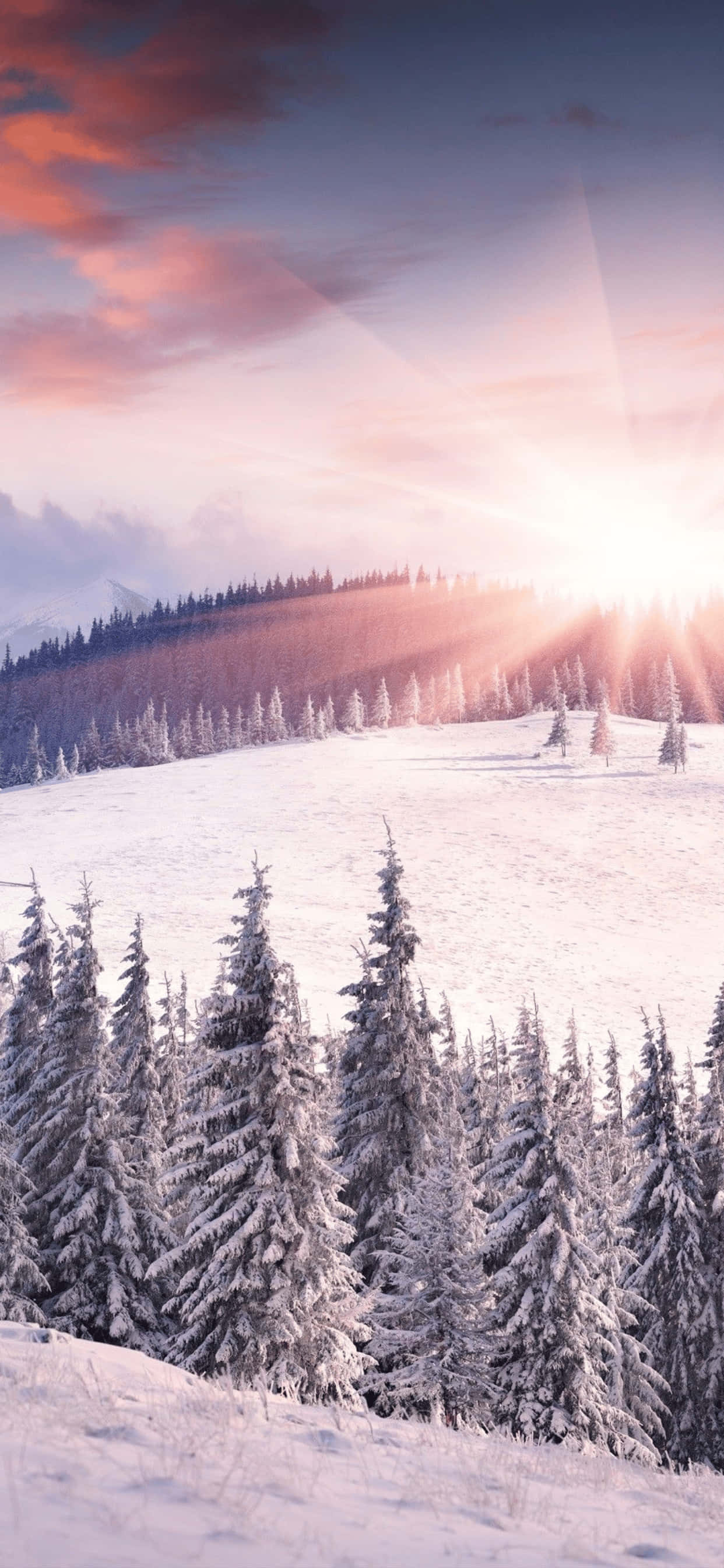 Snowy Mountain Hill iPhone XS Max Winter Background Wallpaper