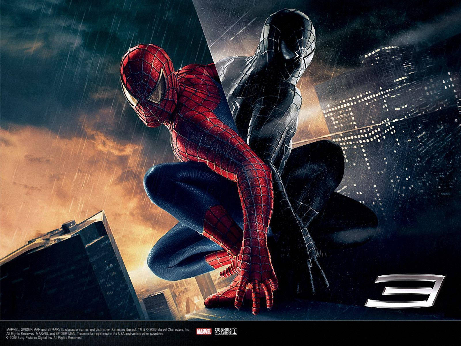 Spiderman na Umaakyat sa Pader Wallpaper