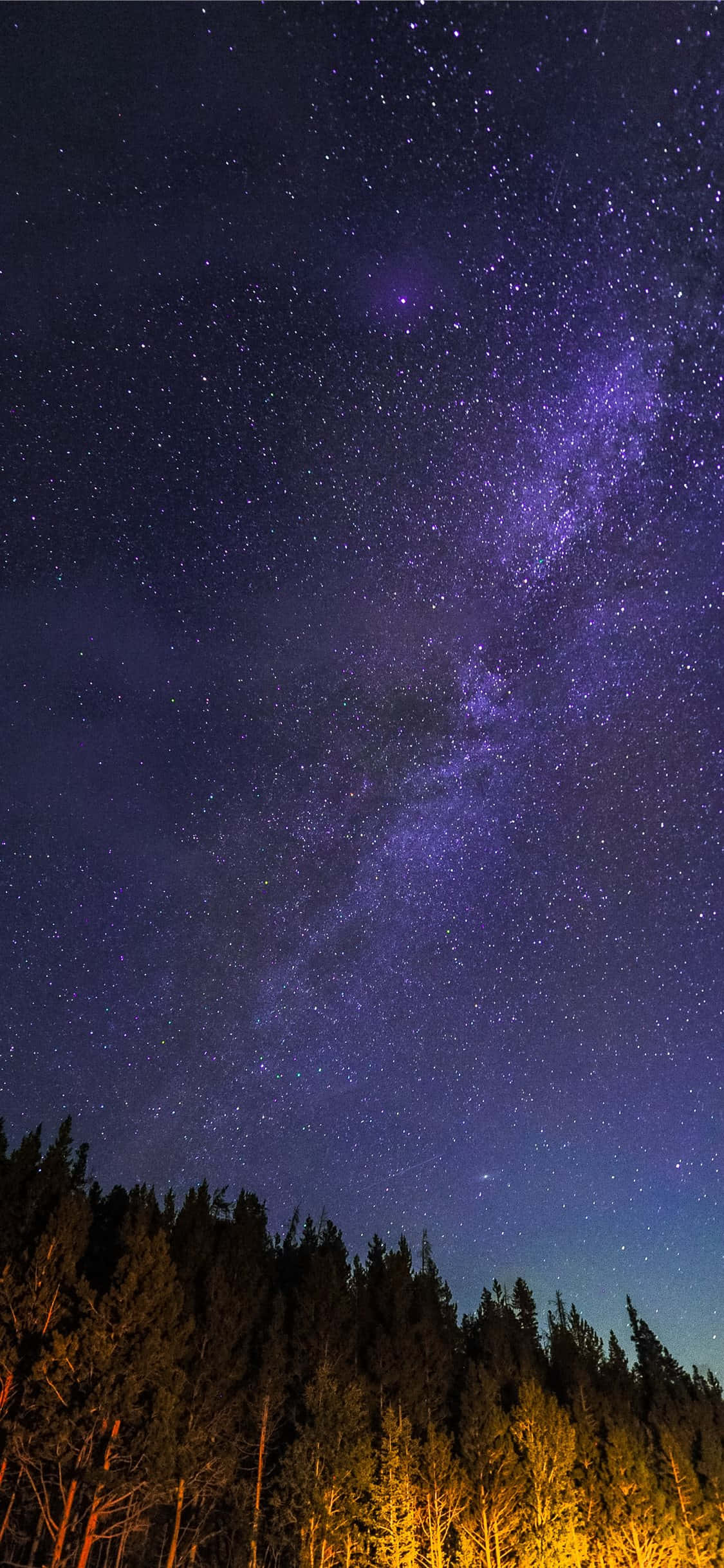 Starry_ Night_ Over_ Forest.JPG Wallpaper
