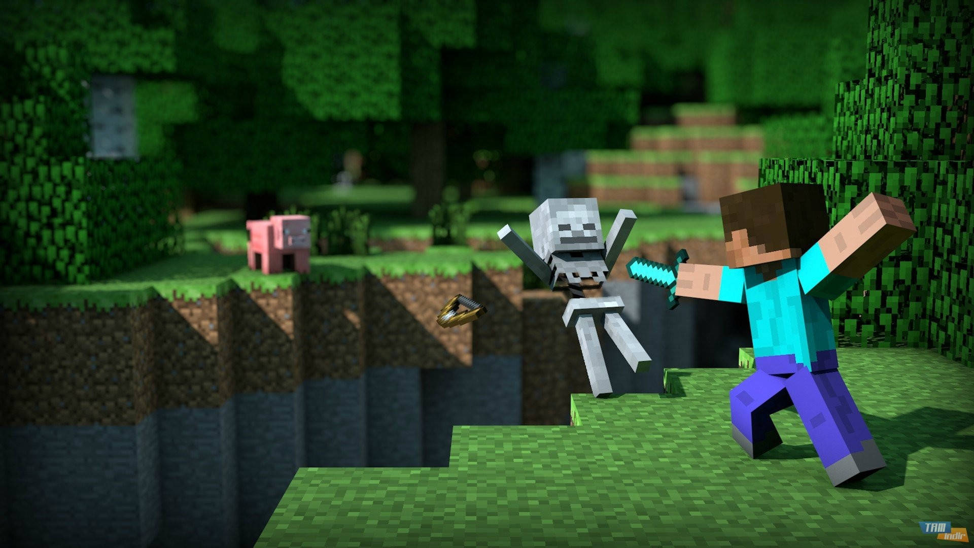 Steve Nakikipaglaban sa Skeleton Minecraft HD Wallpaper