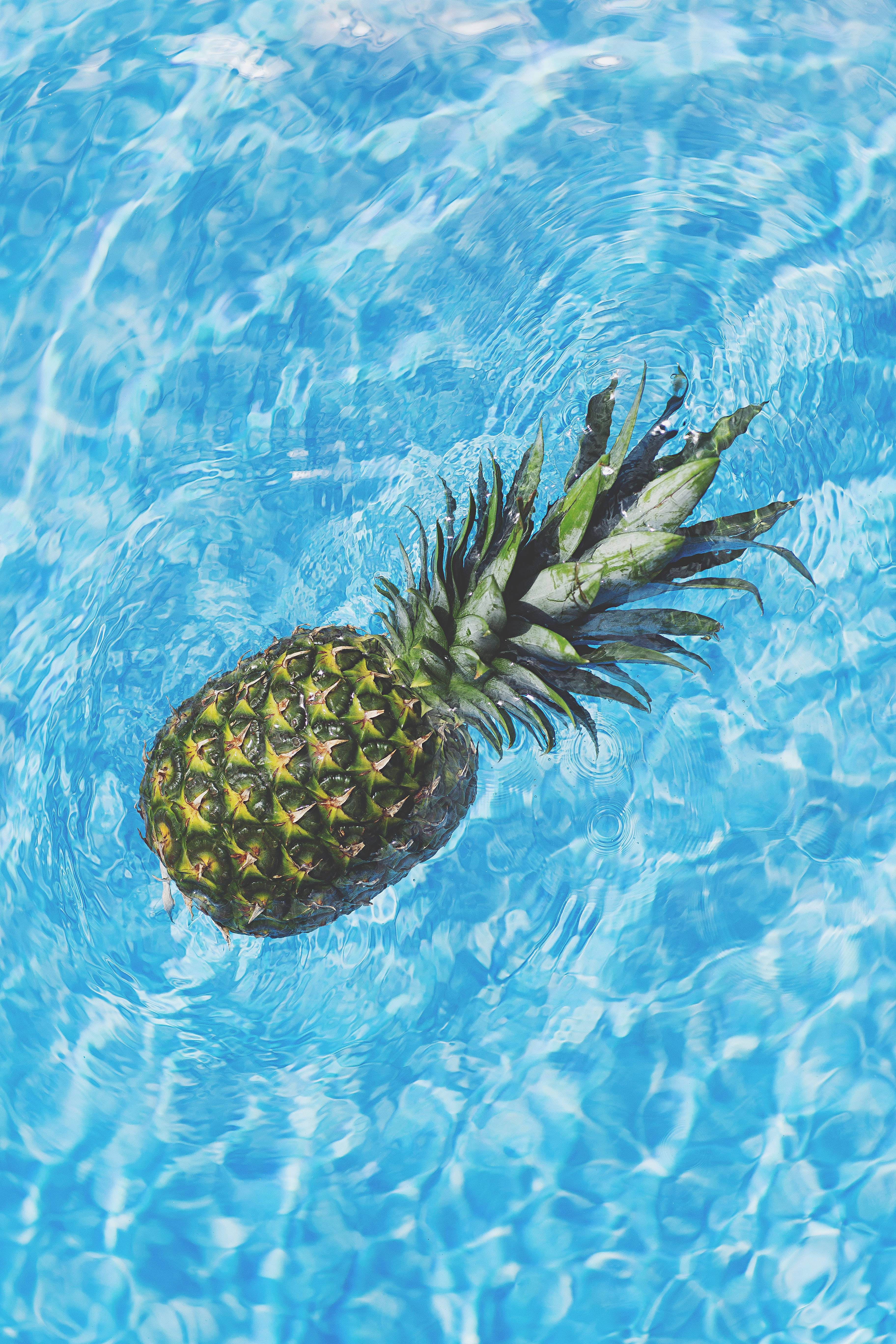 Sumisid sa Pineapple Country Wallpaper