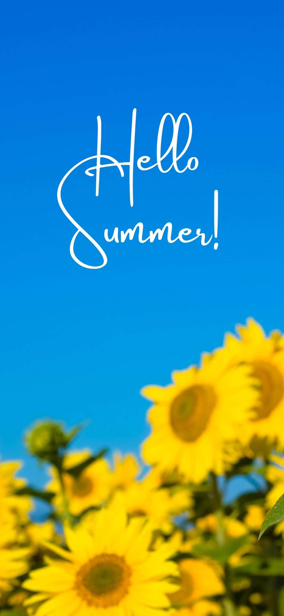 Sunflowers iPhone X Summer Background Wallpaper