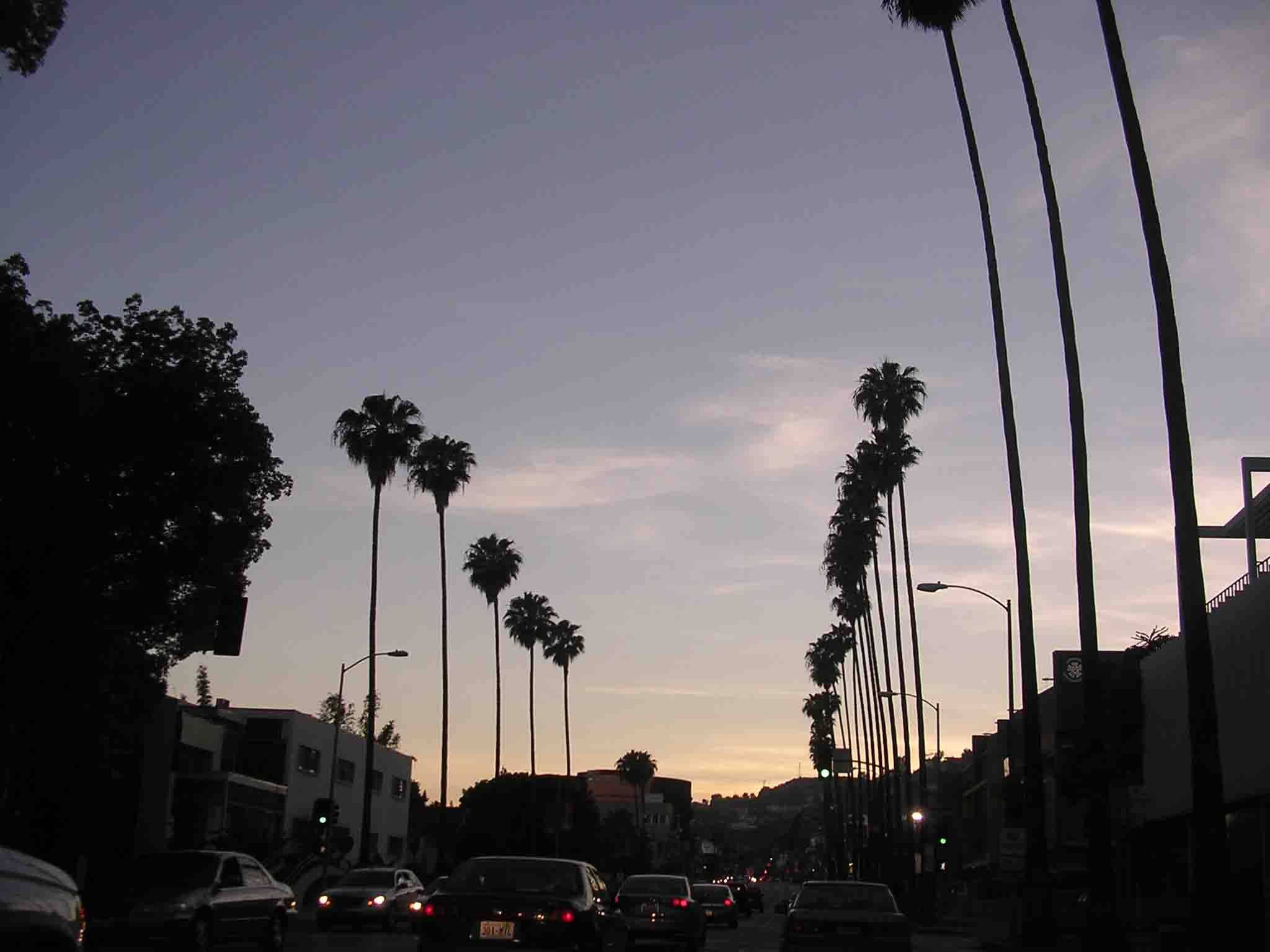 Sunset Boulevard na Mapusyaw na Lila ang Langit Wallpaper