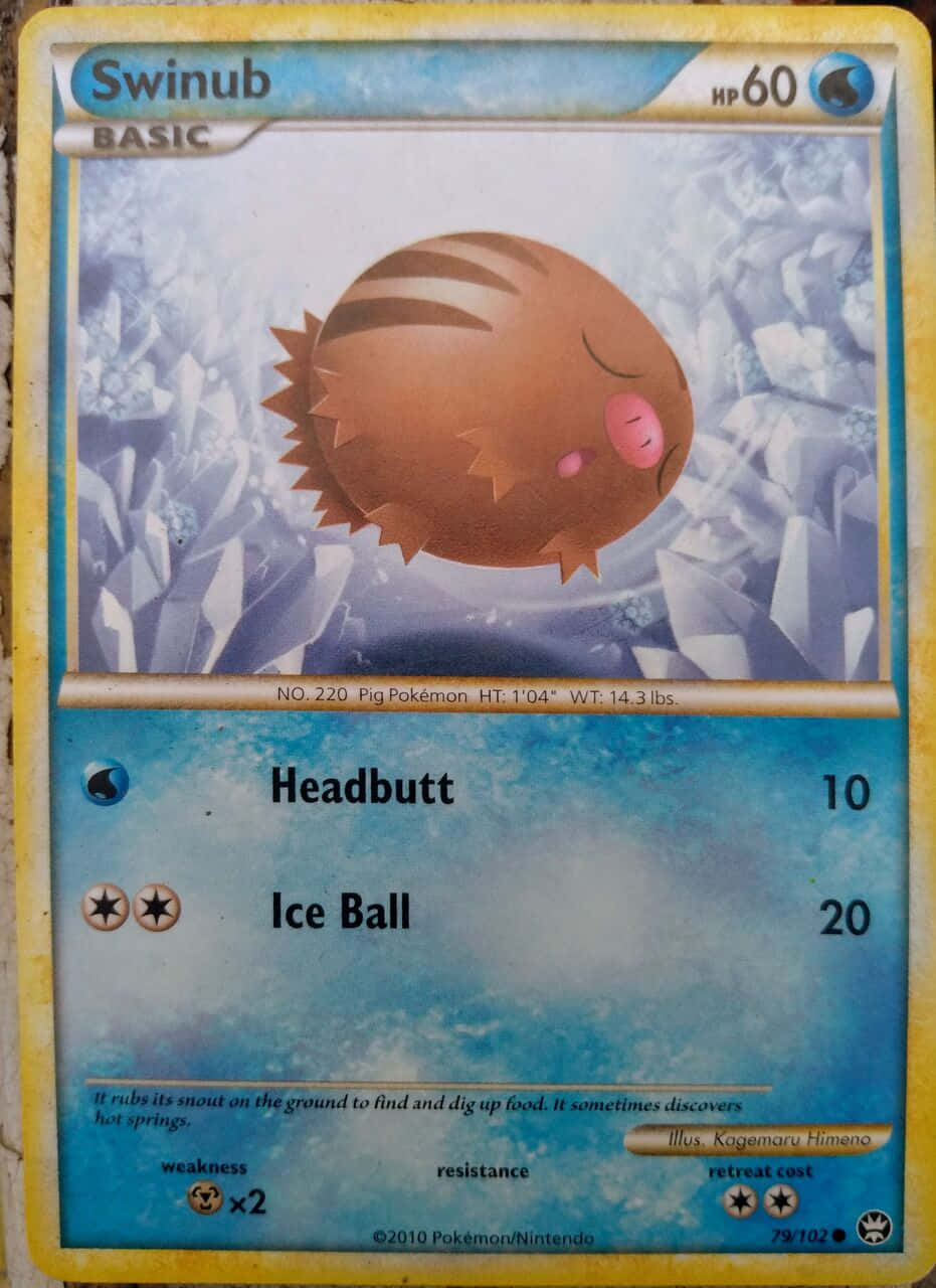 Swinub Card 2010 Wallpaper