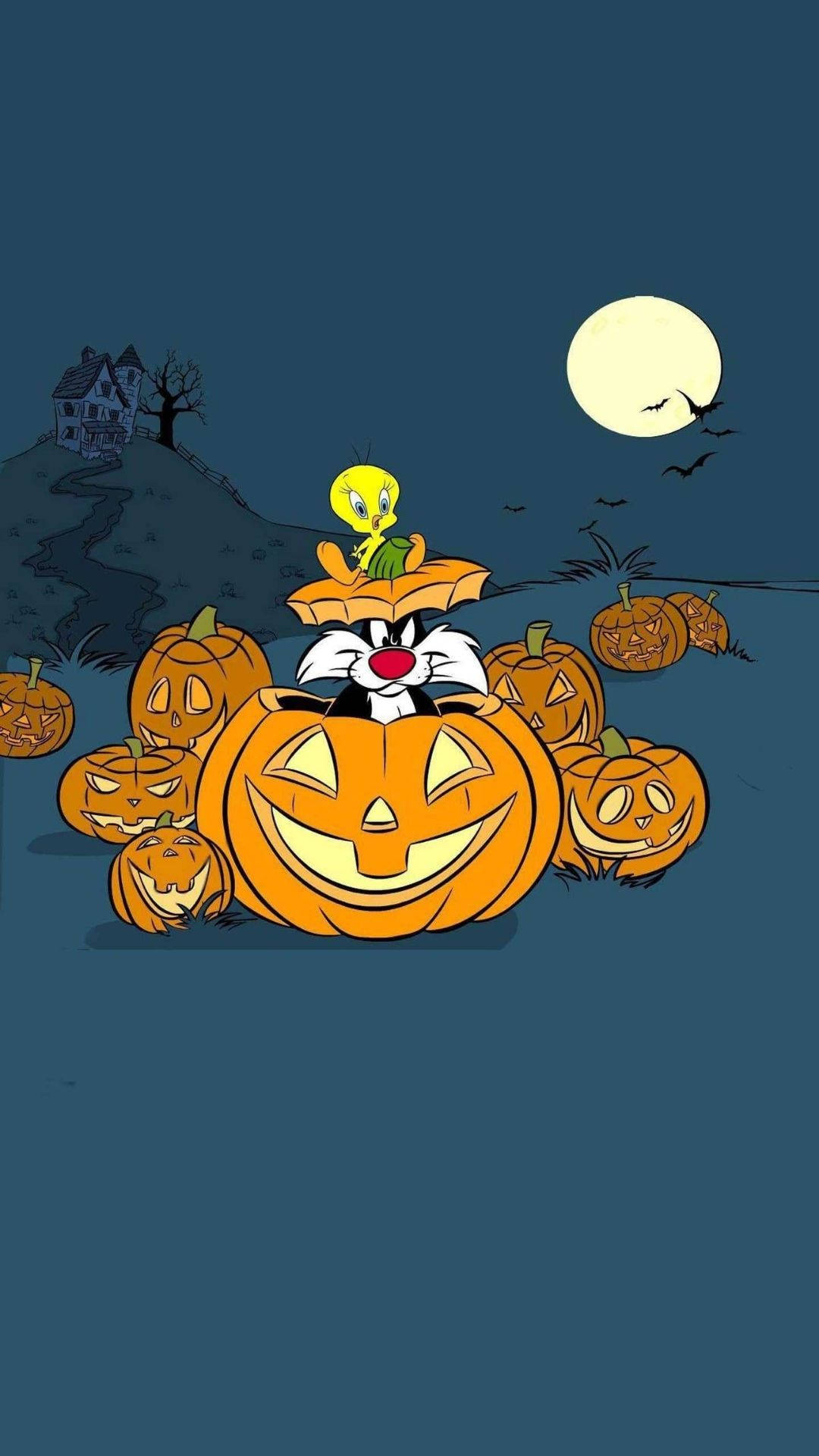 Sylvester Sa Pumpkin Cartoon Halloween Wallpaper