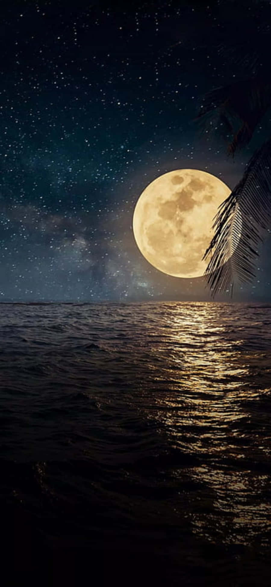 Tahimik na Reflections ng Pagsikat ng Araw sa Black Sea Wallpaper