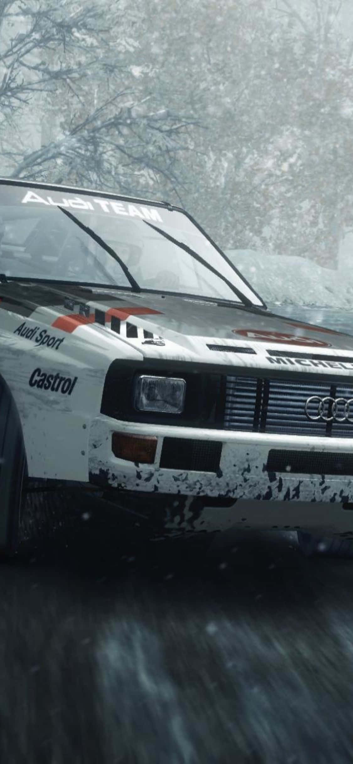 Hamonin ang mundo gamit ang iPhone Xs Dirt Rally Wallpaper
