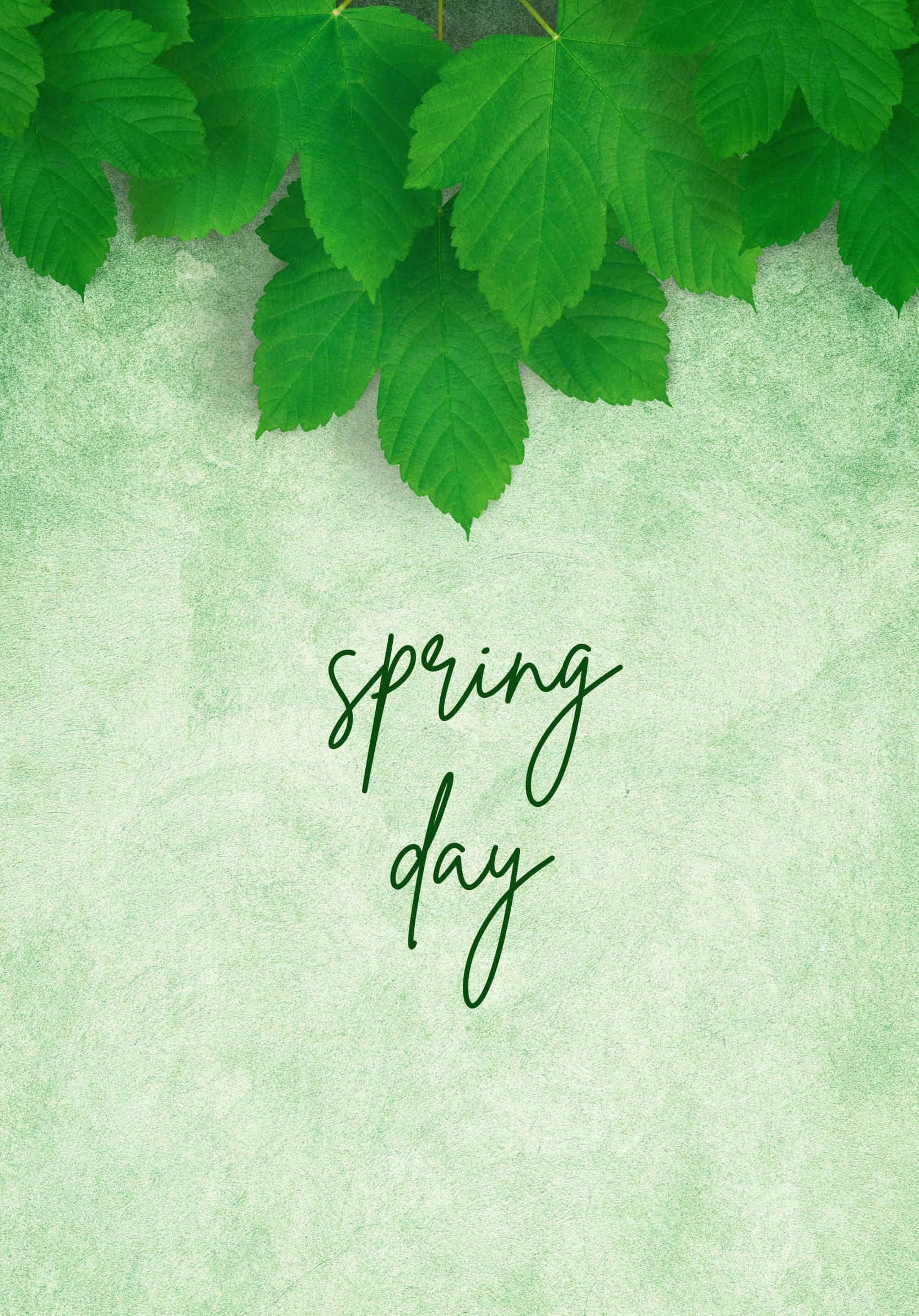 Tamasahan ang Pinakamagandang ng Spring Wallpaper