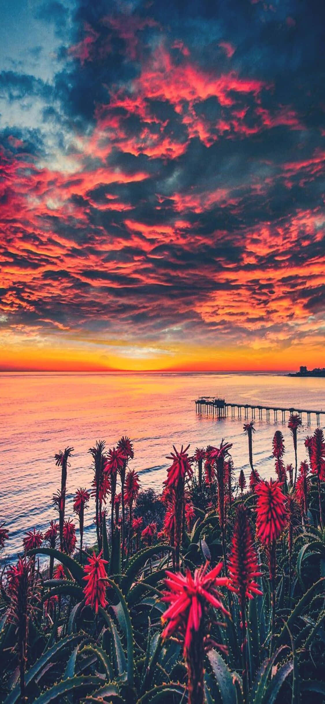 Tamasahin ang Golden State kasama ng Apple iPhone X Wallpaper