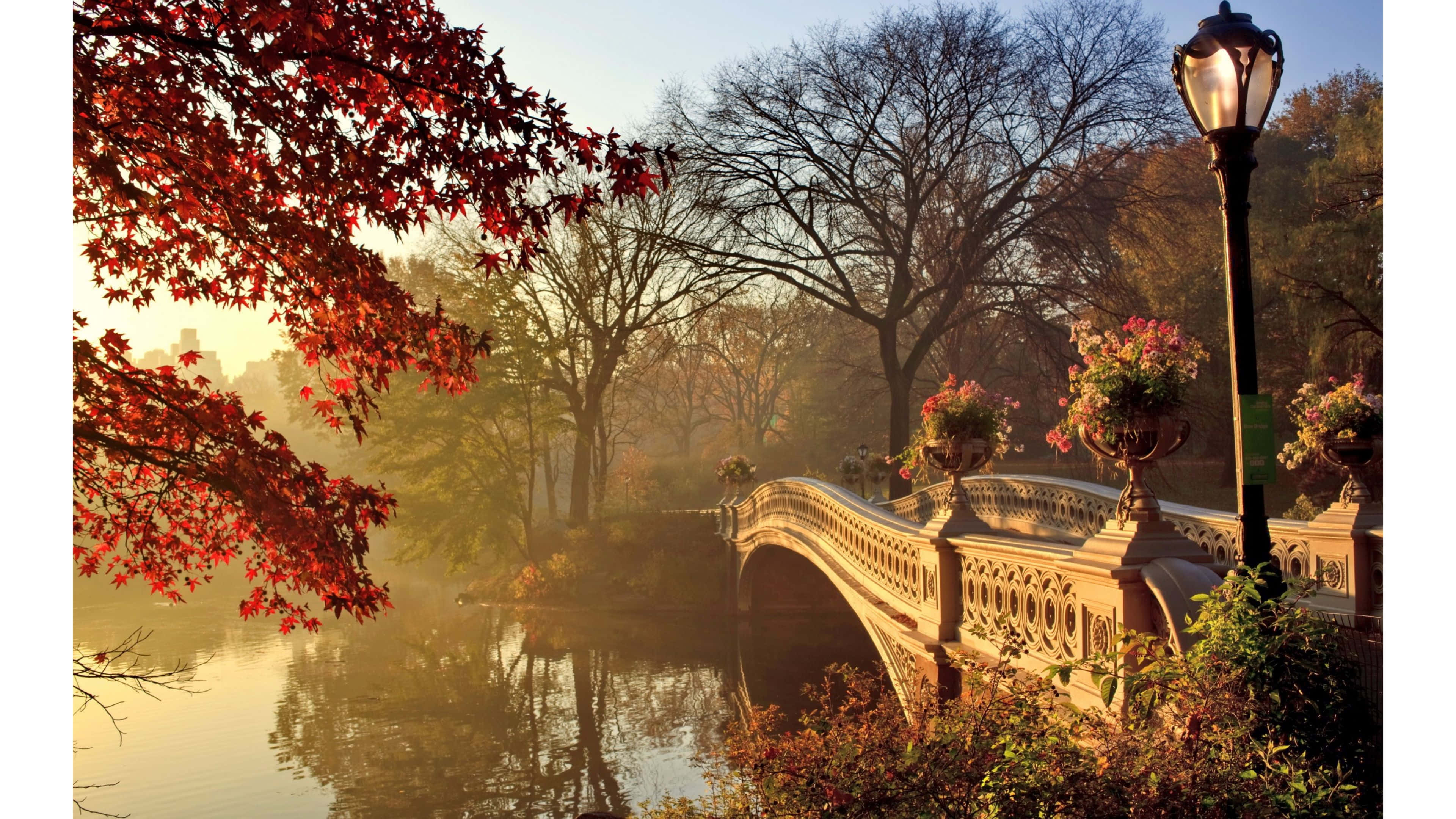 Tamasahin ang kagandahan ng Vintage Autumn Wallpaper