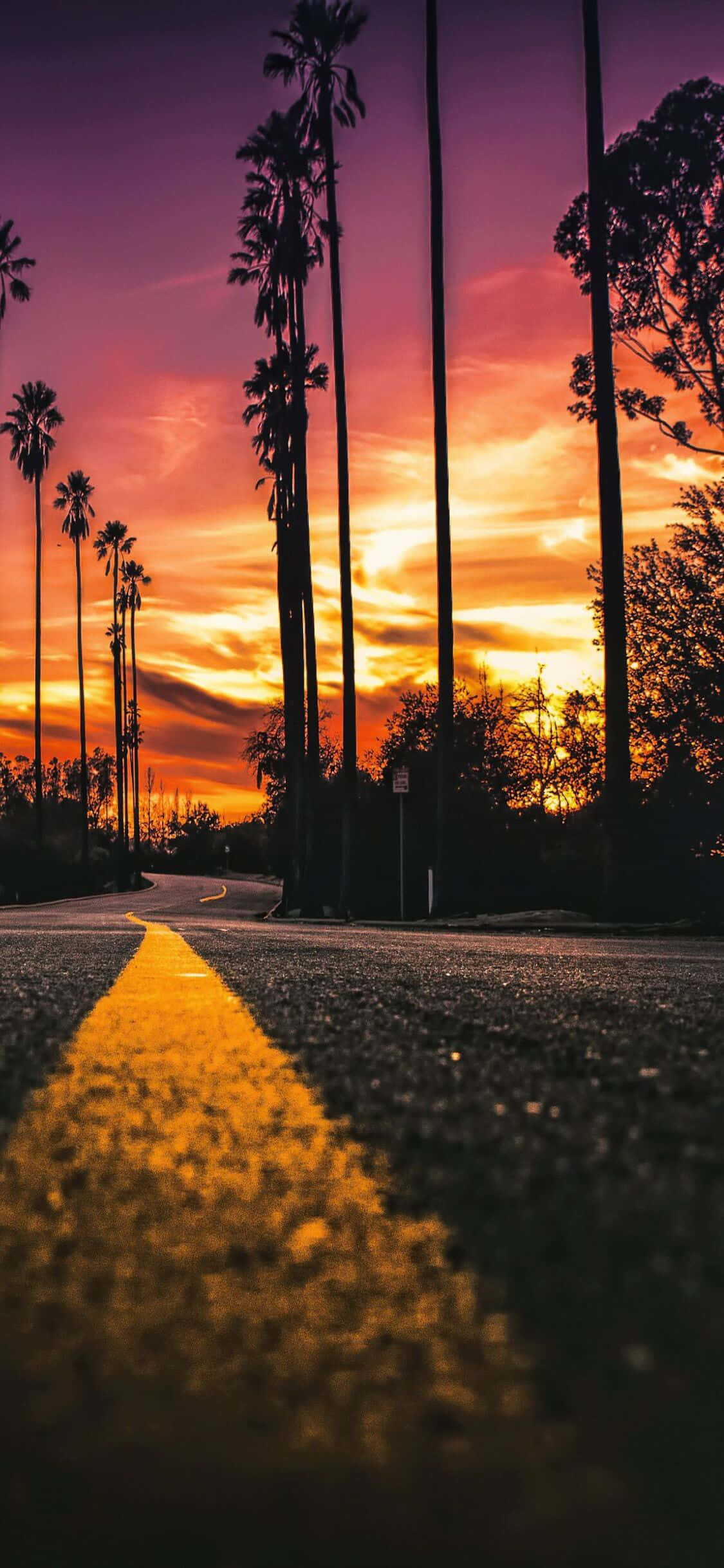 Tamasahin ang Magagandang Tanawin ng California gamit ang iPhone X Wallpaper