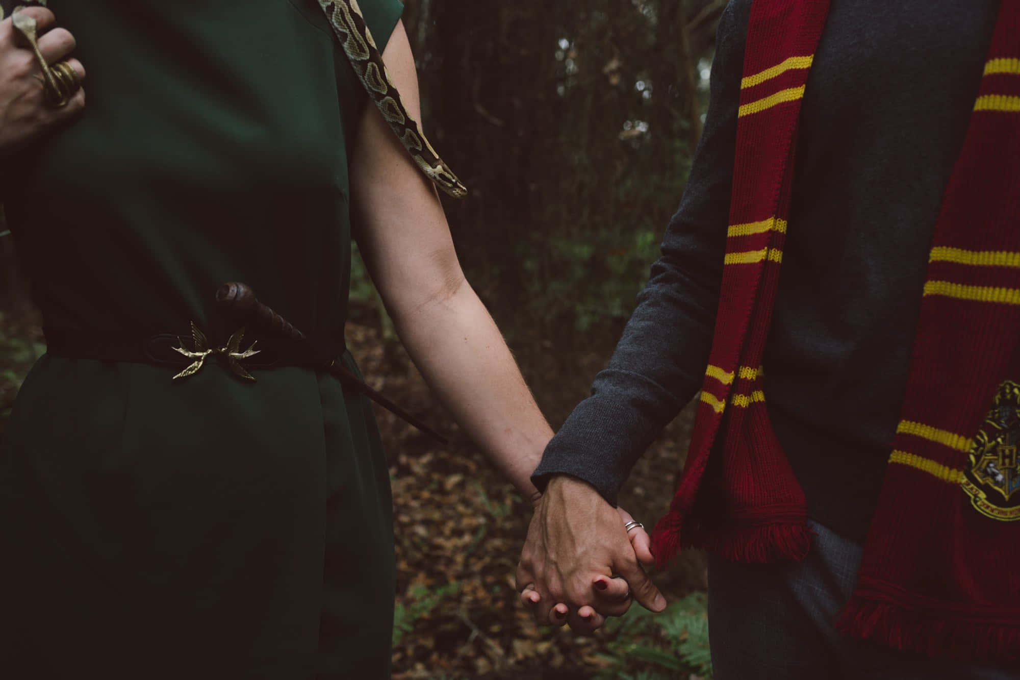 "Tampok sa Slytherin Aesthetic, Yakapin ang Iyong Panloob na Serpyente!" Wallpaper