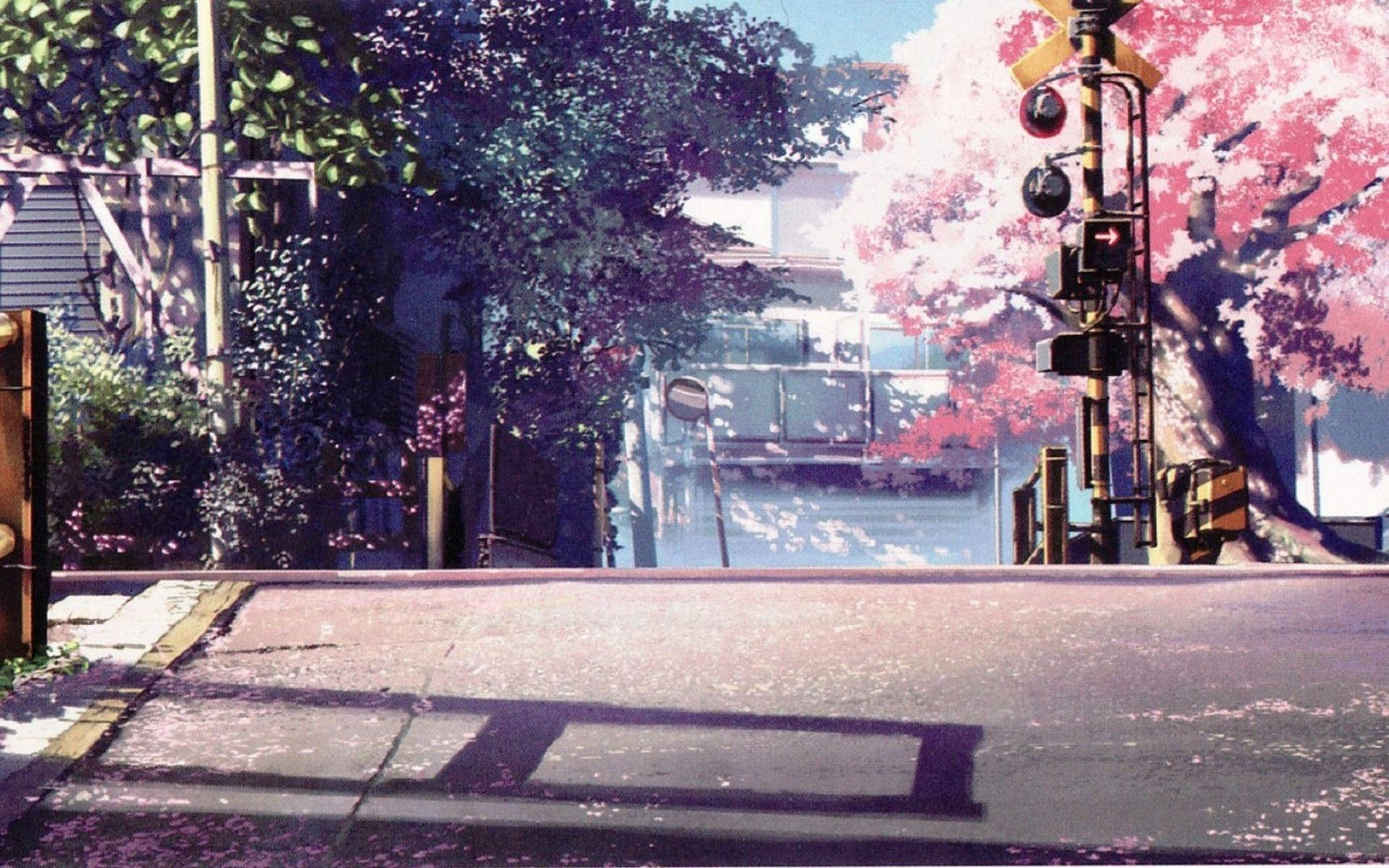 Tanawin ng Anime na Cherry Blossoms Wallpaper