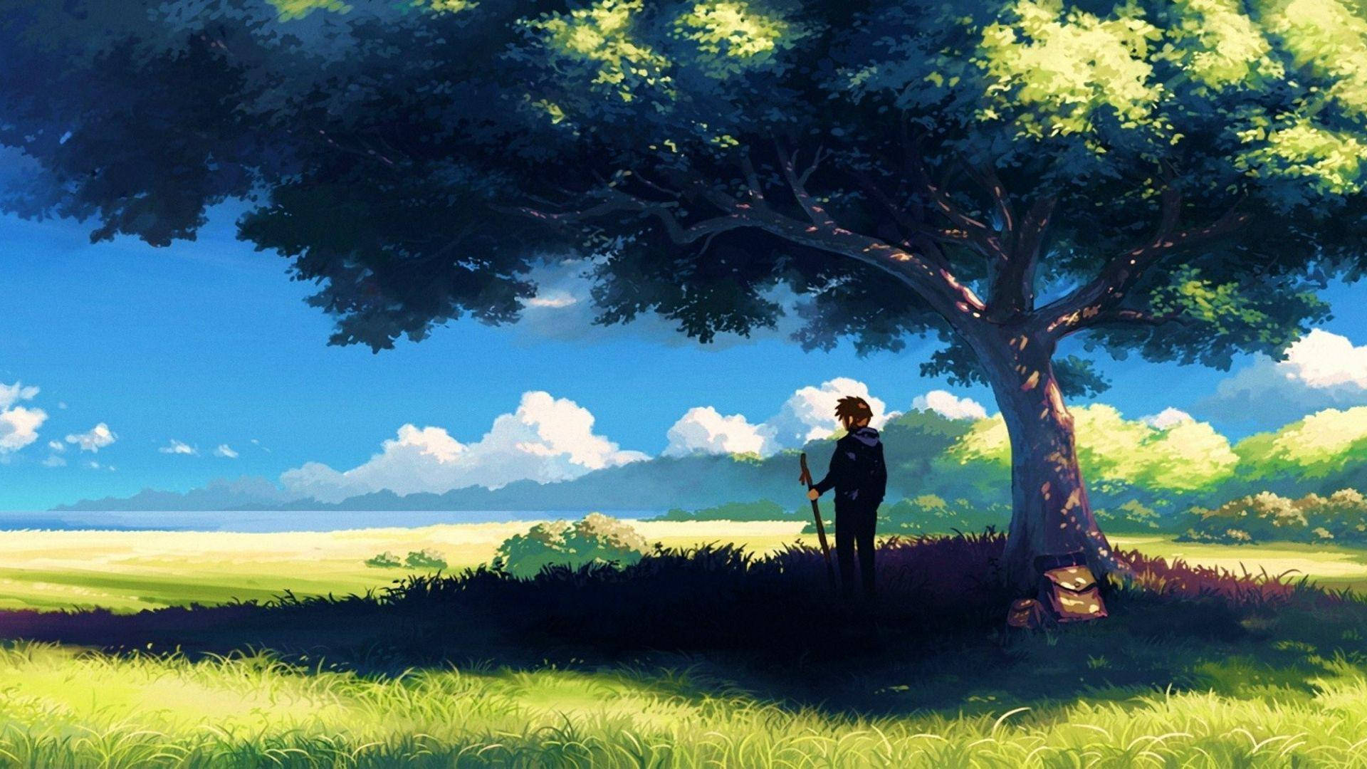 Tanawin ng Anime na Lalaki sa Ilalim ng Puno Wallpaper