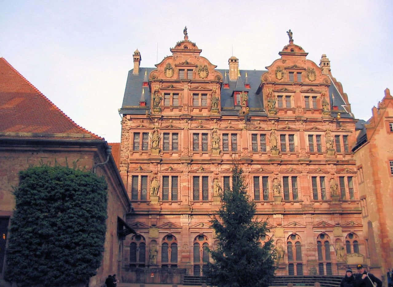 Tanawin ng Heidelberg Castle mula sa Ibaba Wallpaper