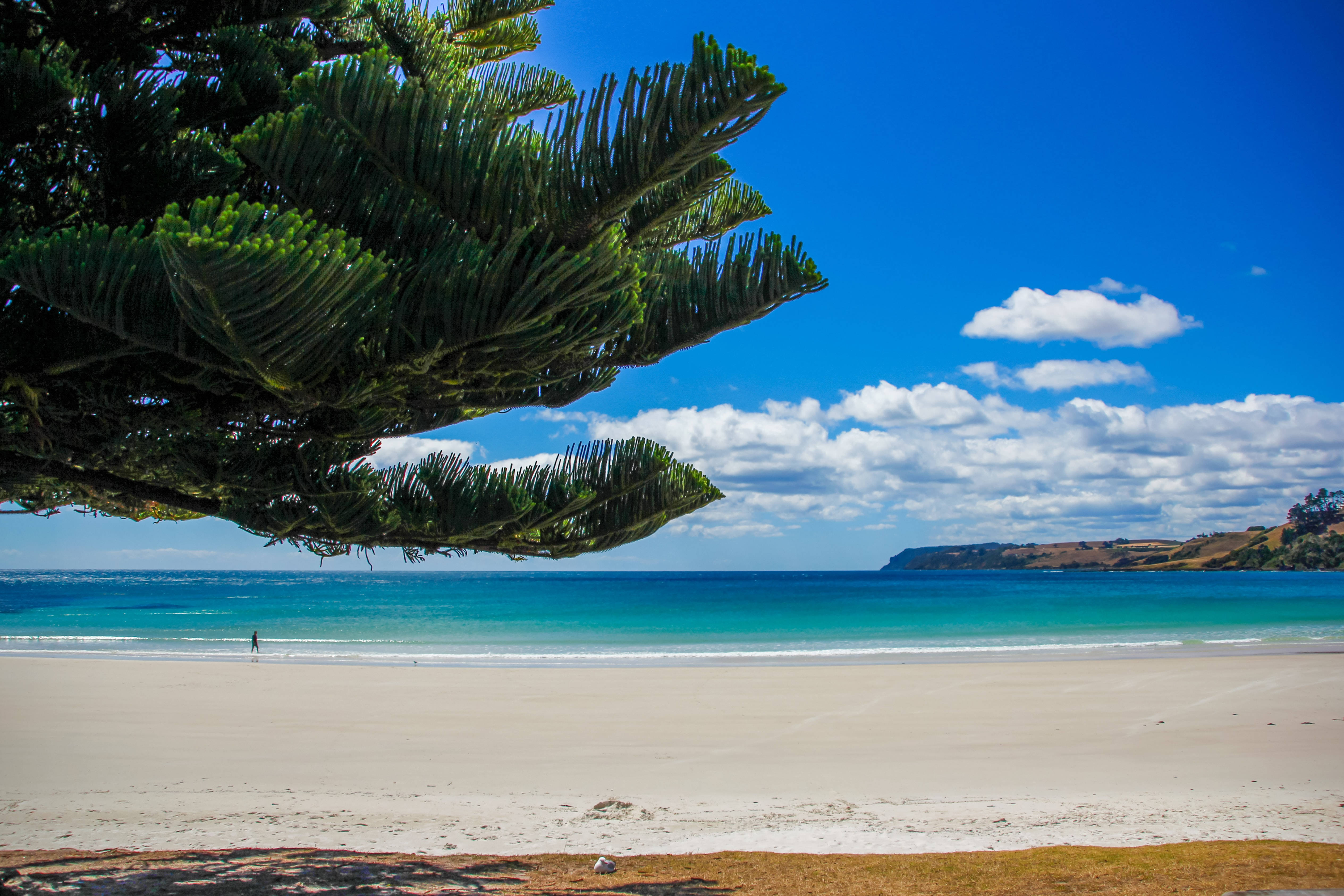 Tanawin ng Karagatan sa South Australia Wallpaper