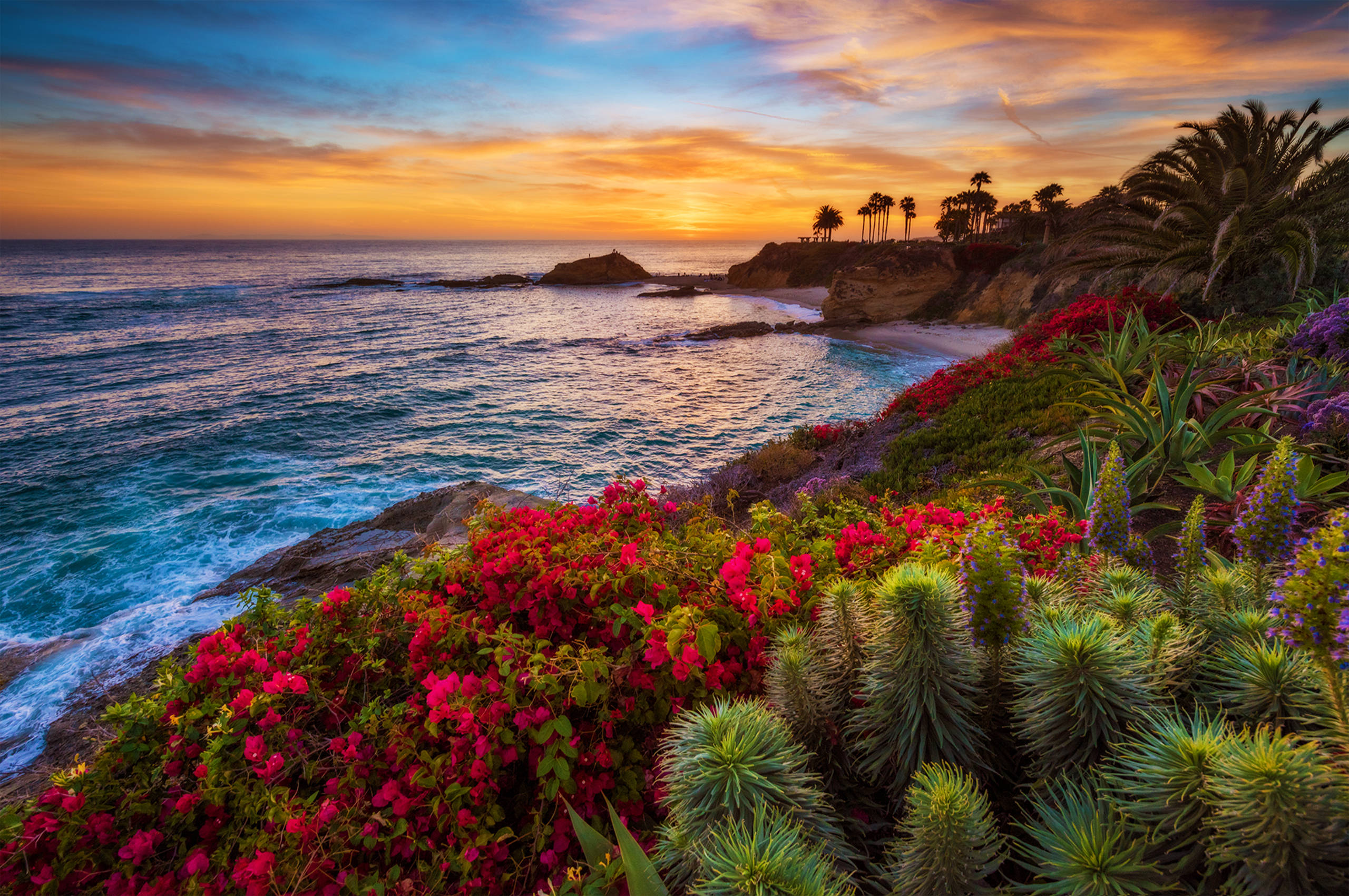 Tanawin ng Karagatan sa California Wallpaper