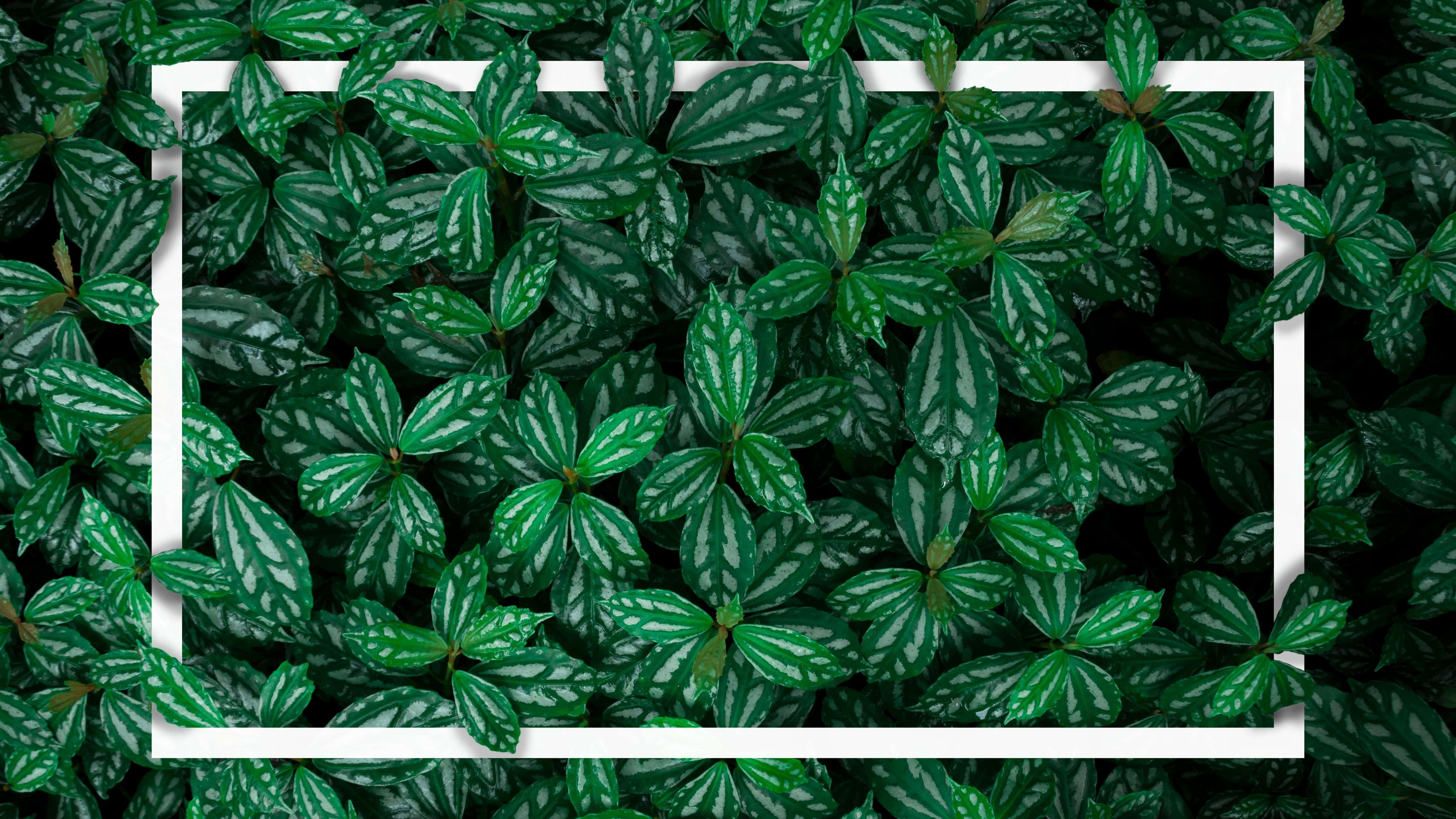 Tanawin ng Lungsod Wallpaper