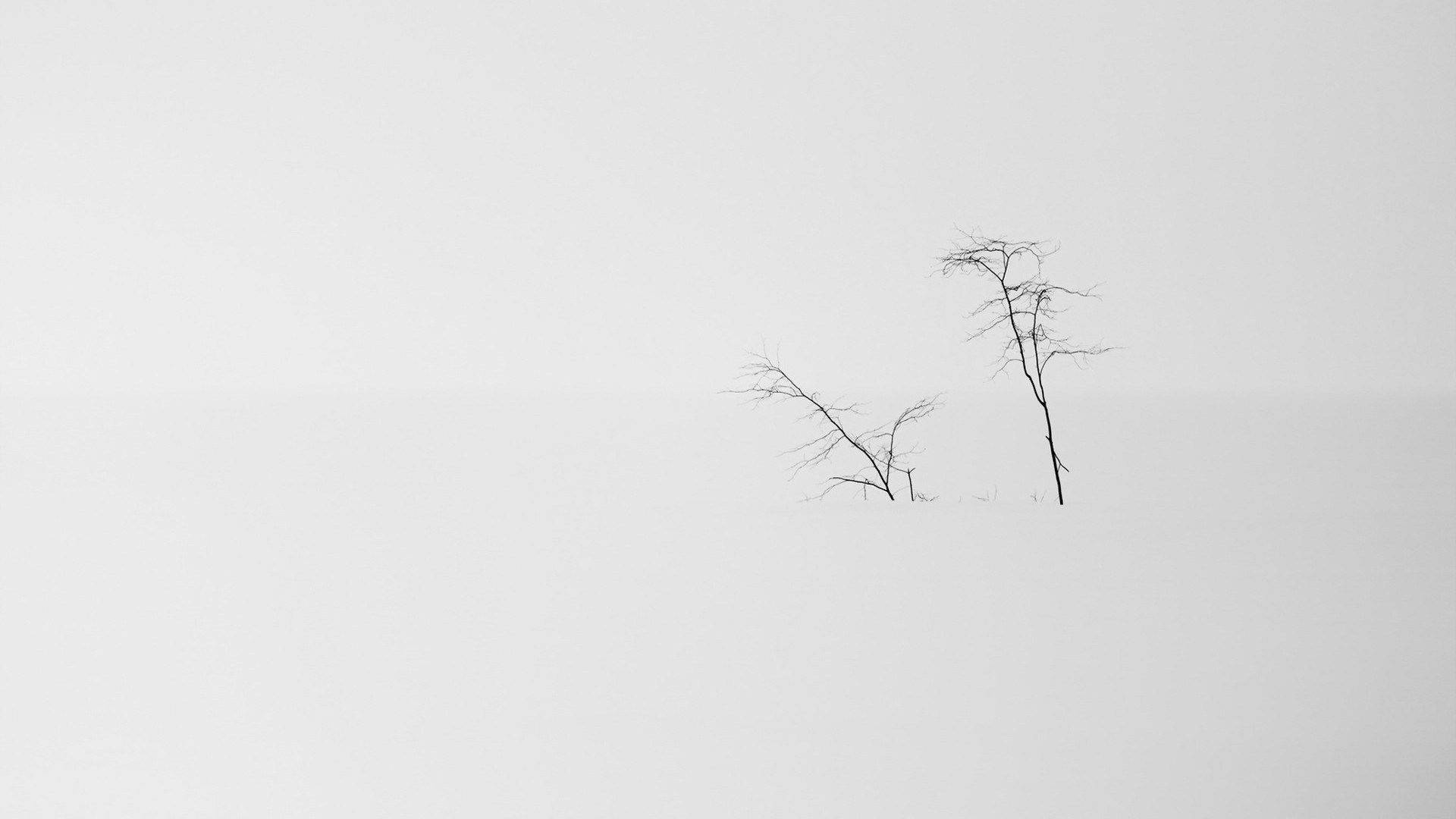 Tanawin ng Niyebe Minimalist Aesthetic Laptop Wallpaper